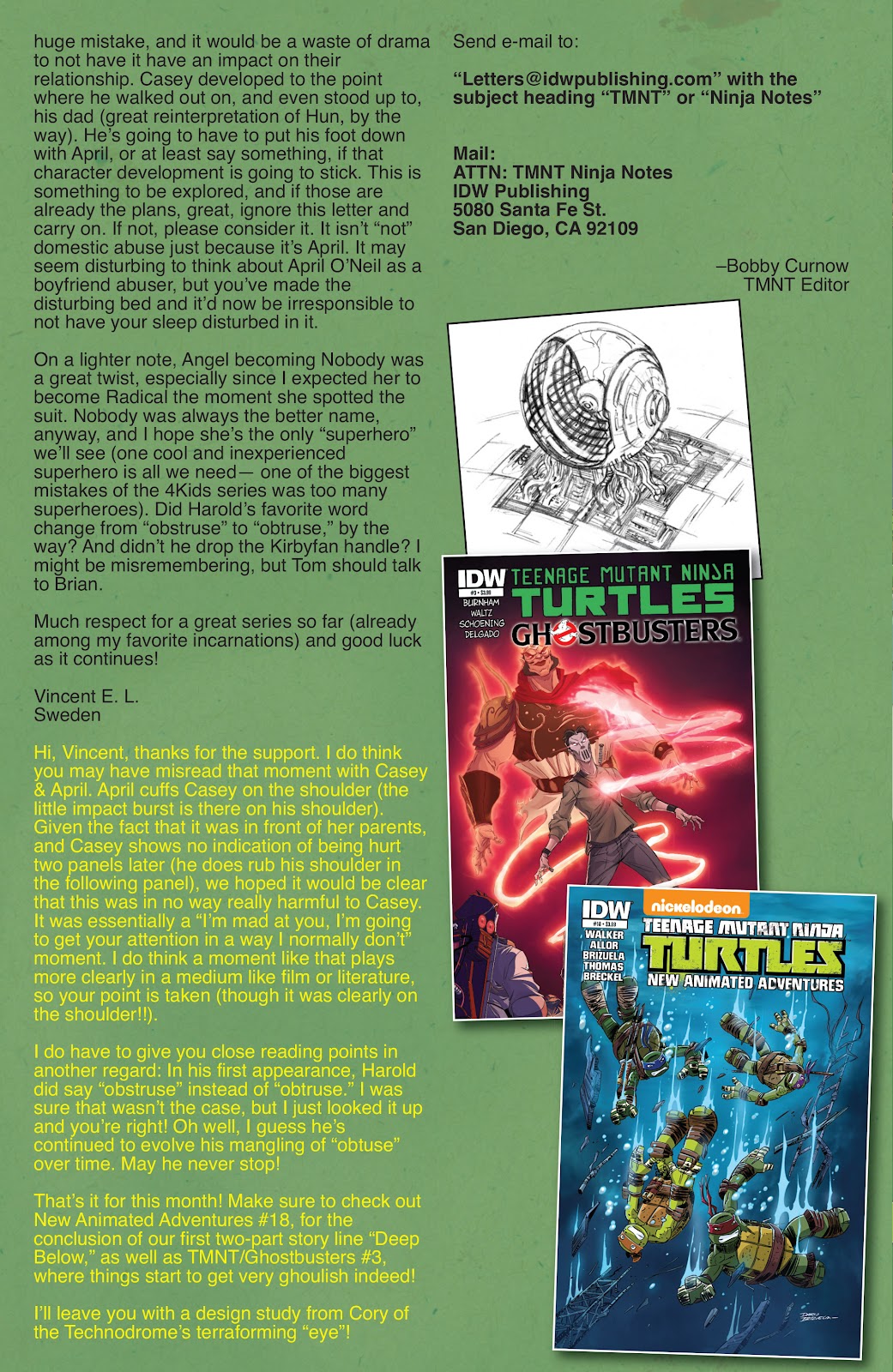 Teenage Mutant Ninja Turtles (2011) issue 41 - Page 29
