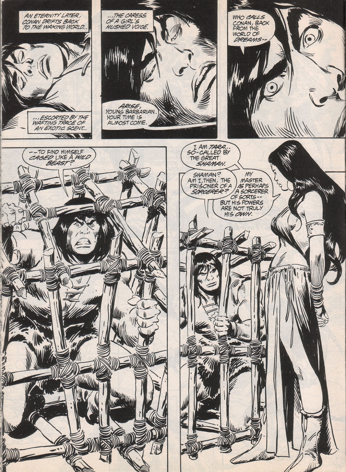 The Savage Sword Of Conan issue 222 - Page 13