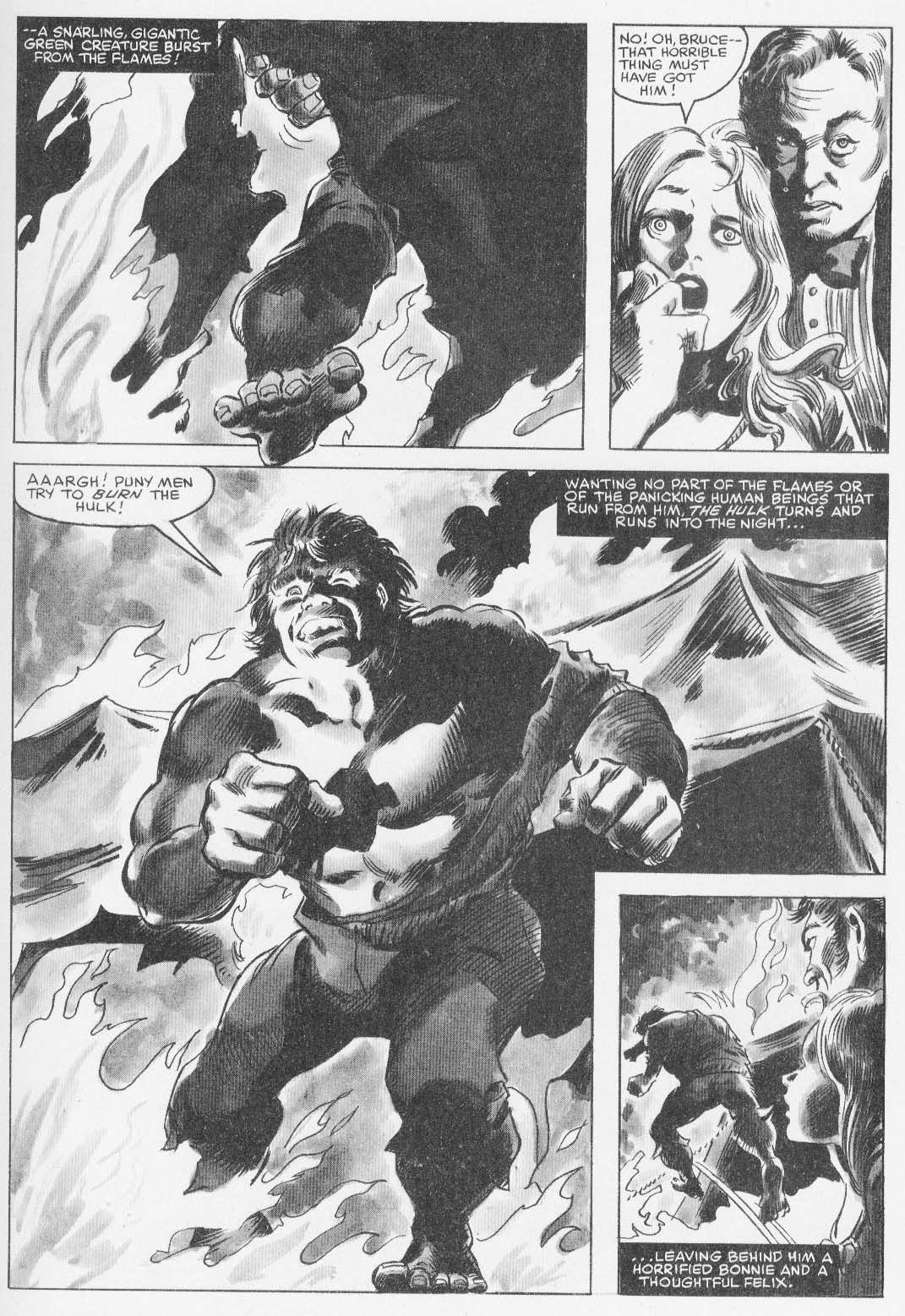 Read online Hulk (1978) comic -  Issue #25 - 38