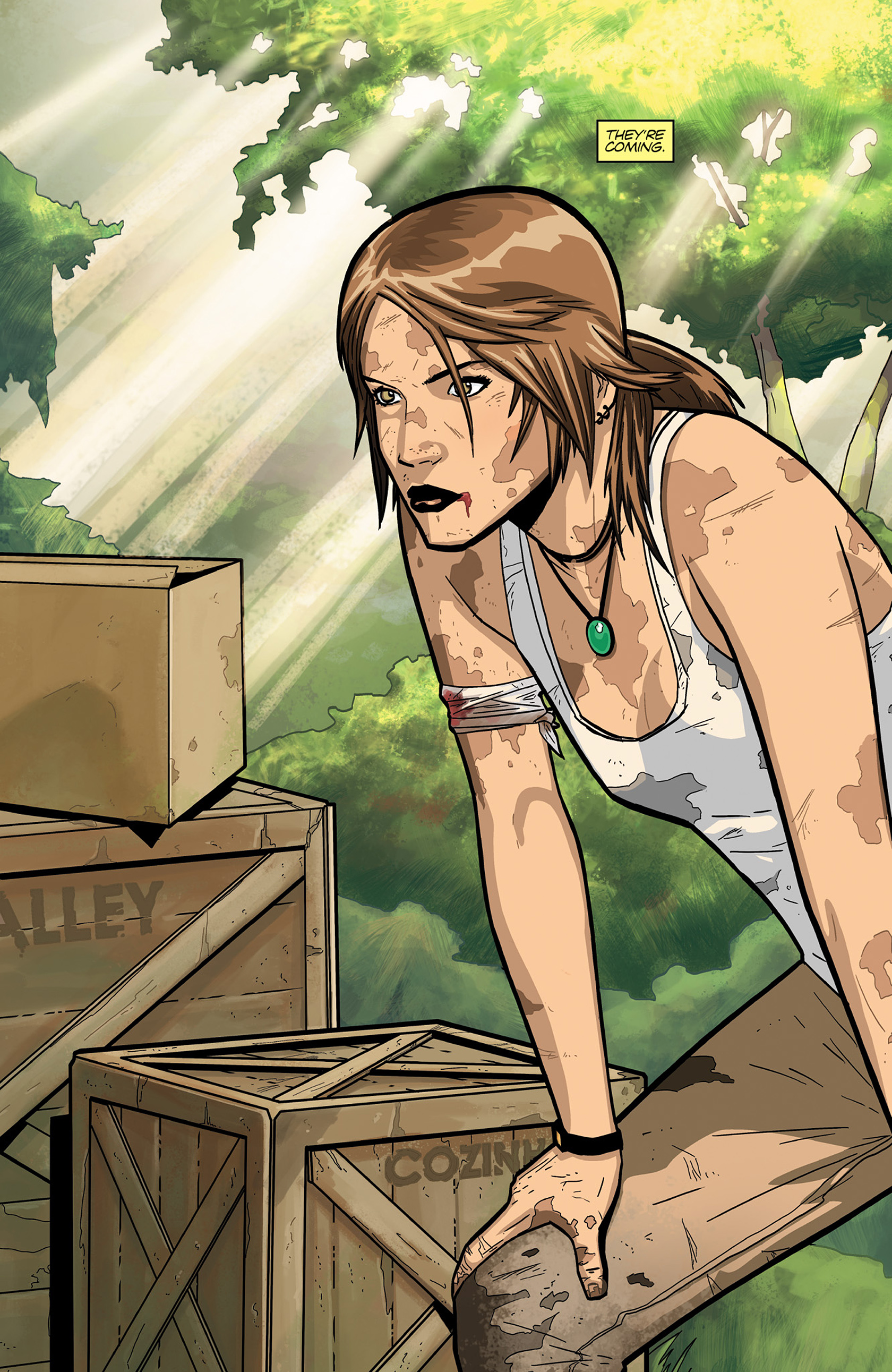 Read online Tomb Raider (2014) comic -  Issue #1 - 3