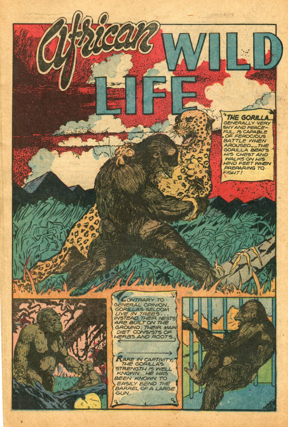 Read online Sheena, Queen of the Jungle (1942) comic -  Issue #12 - 14
