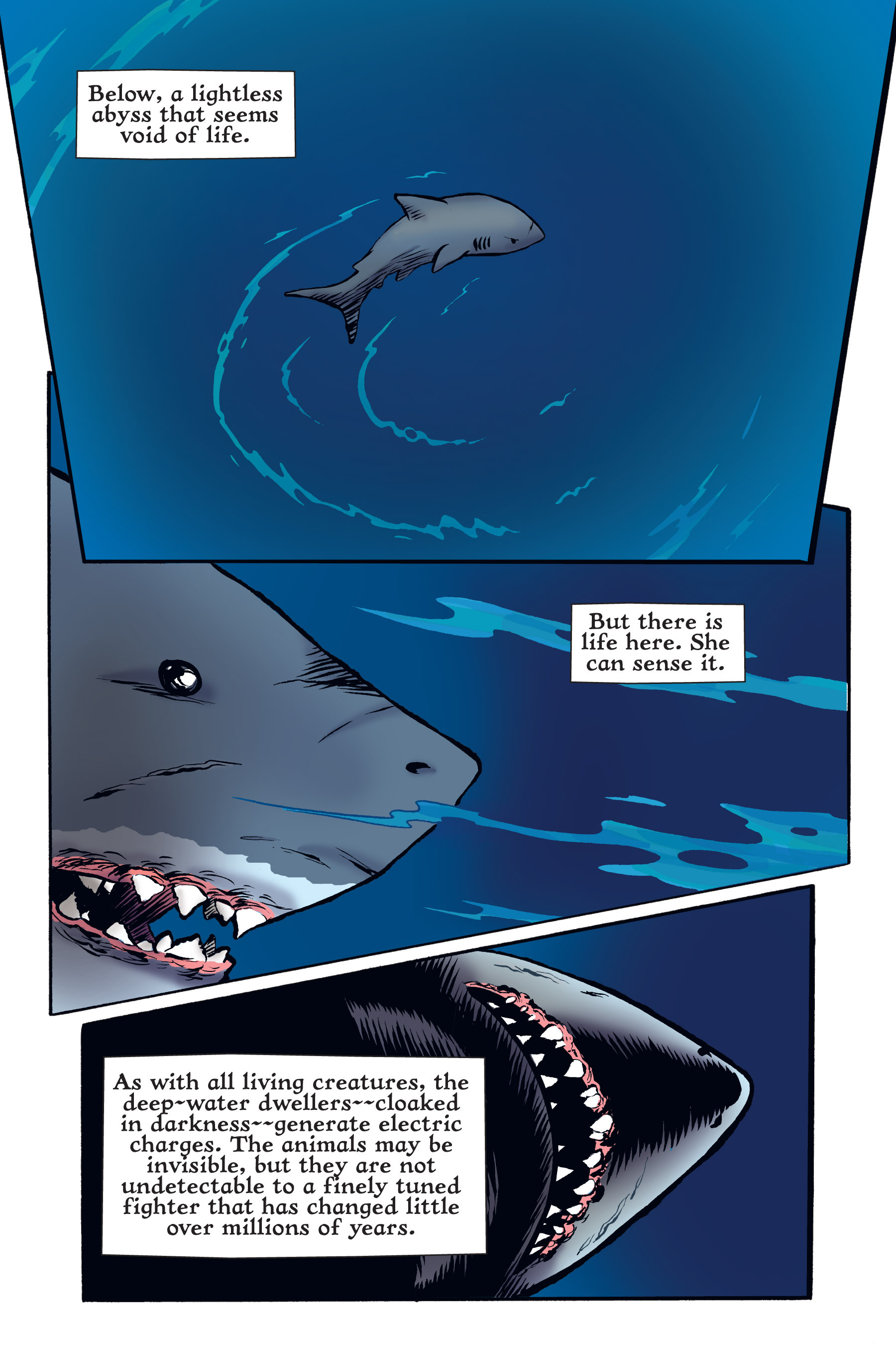 Read online Xoc: Journey of a Great White comic -  Issue # TPB - 36