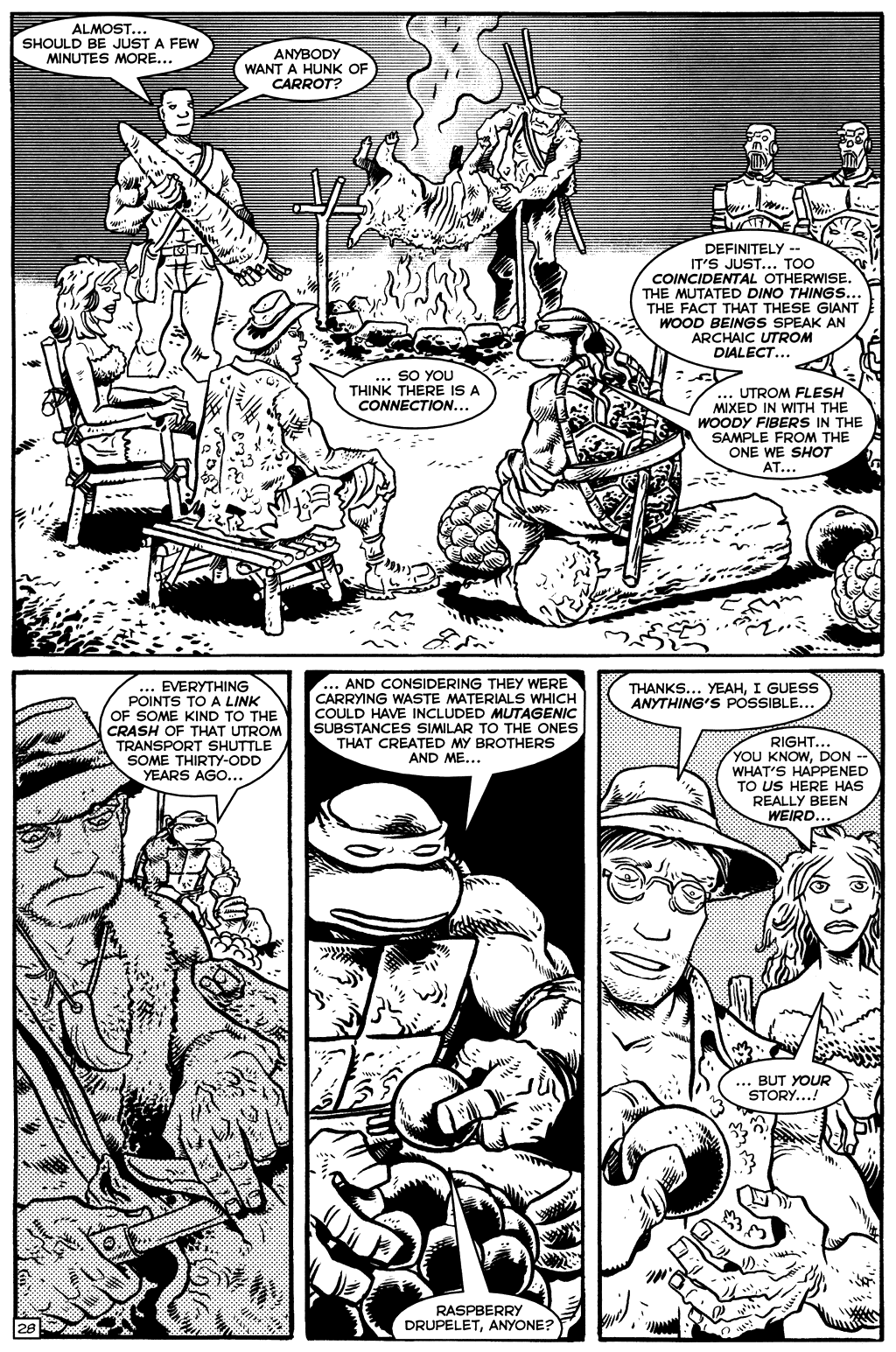 TMNT: Teenage Mutant Ninja Turtles issue 17 - Page 29