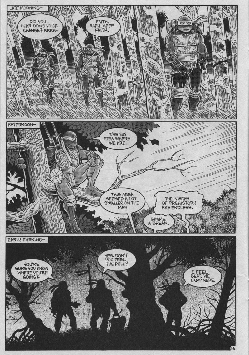 Read online Teenage Mutant Ninja Turtles (1984) comic -  Issue #37 - 16