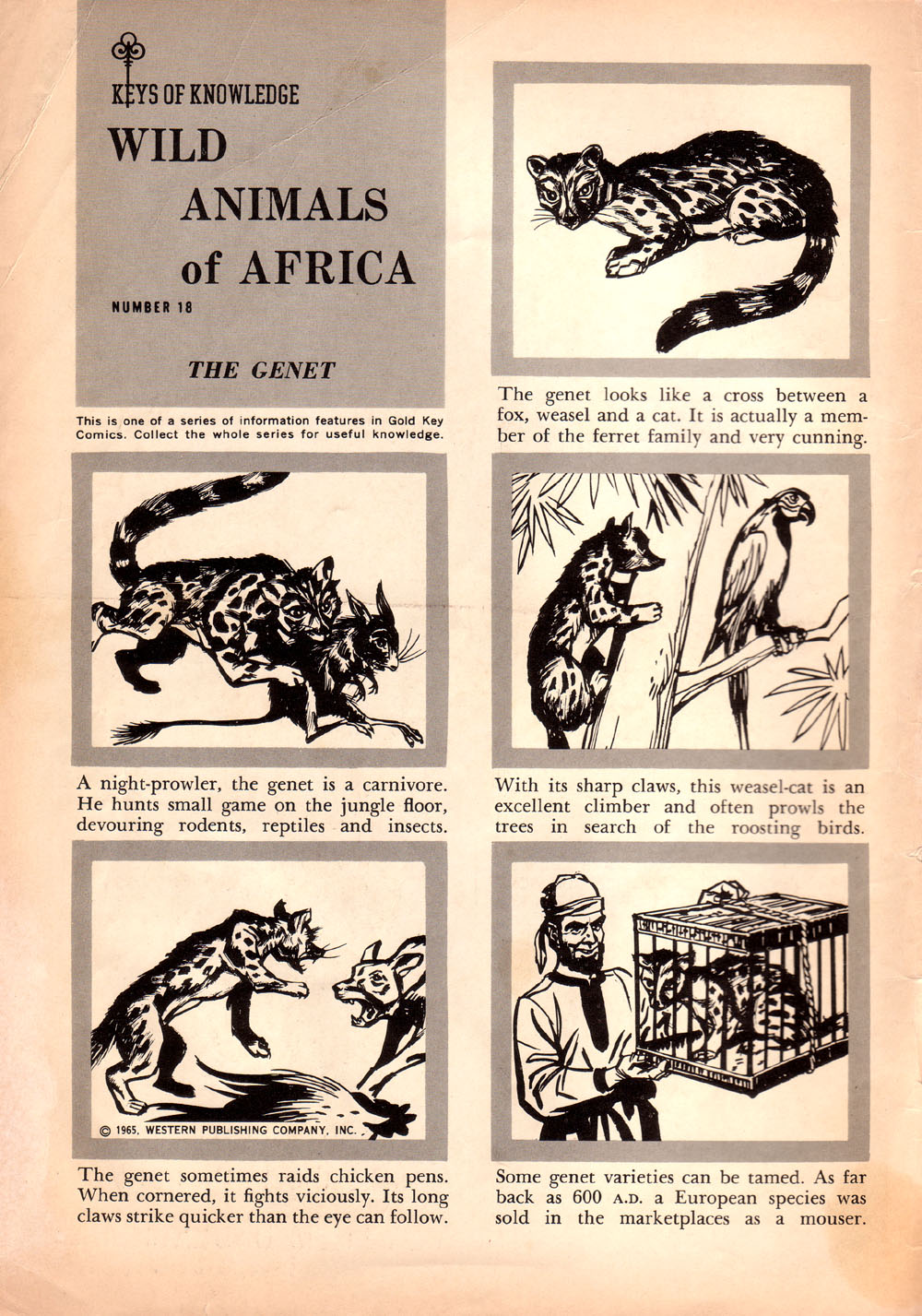 Read online Korak, Son of Tarzan (1964) comic -  Issue #9 - 2