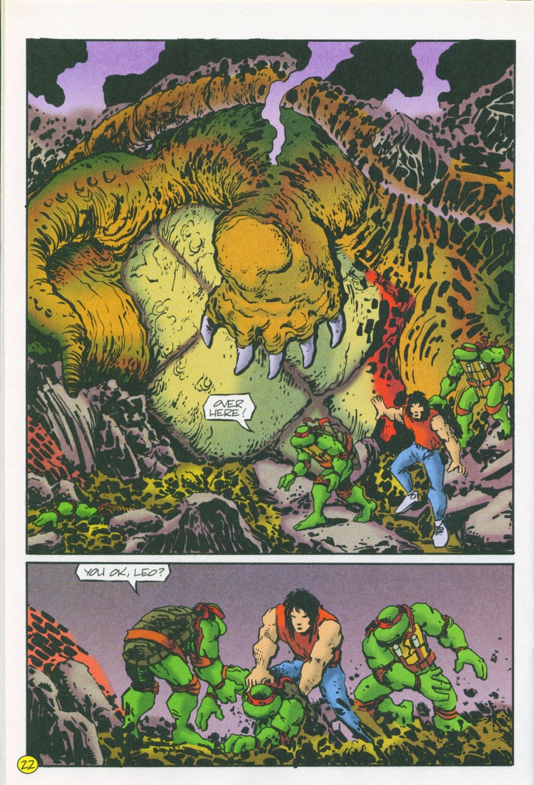 Teenage Mutant Ninja Turtles (1993) Issue #5 #5 - English 24