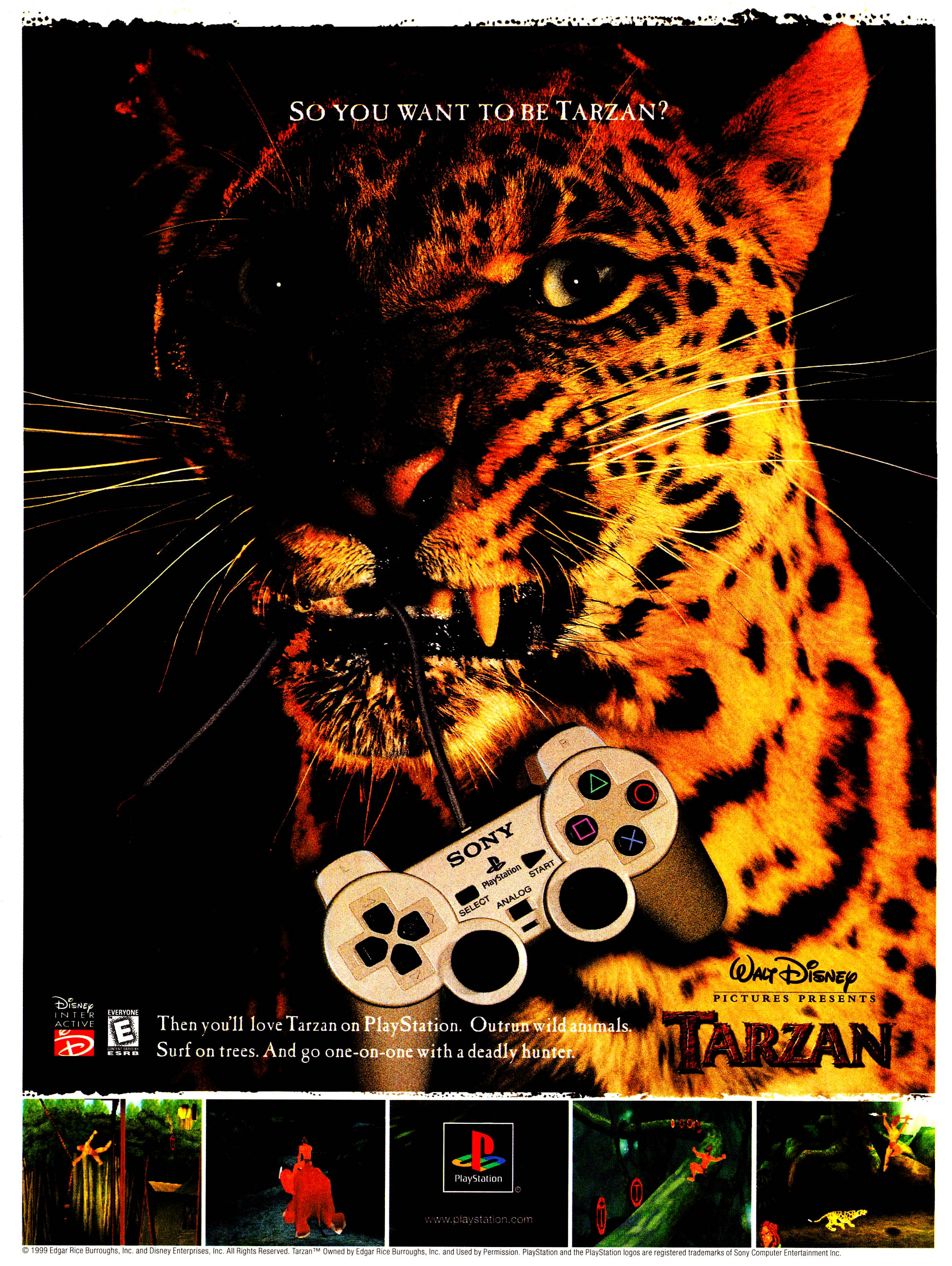 Read online Cartoon Network Starring comic -  Issue #2 - 11