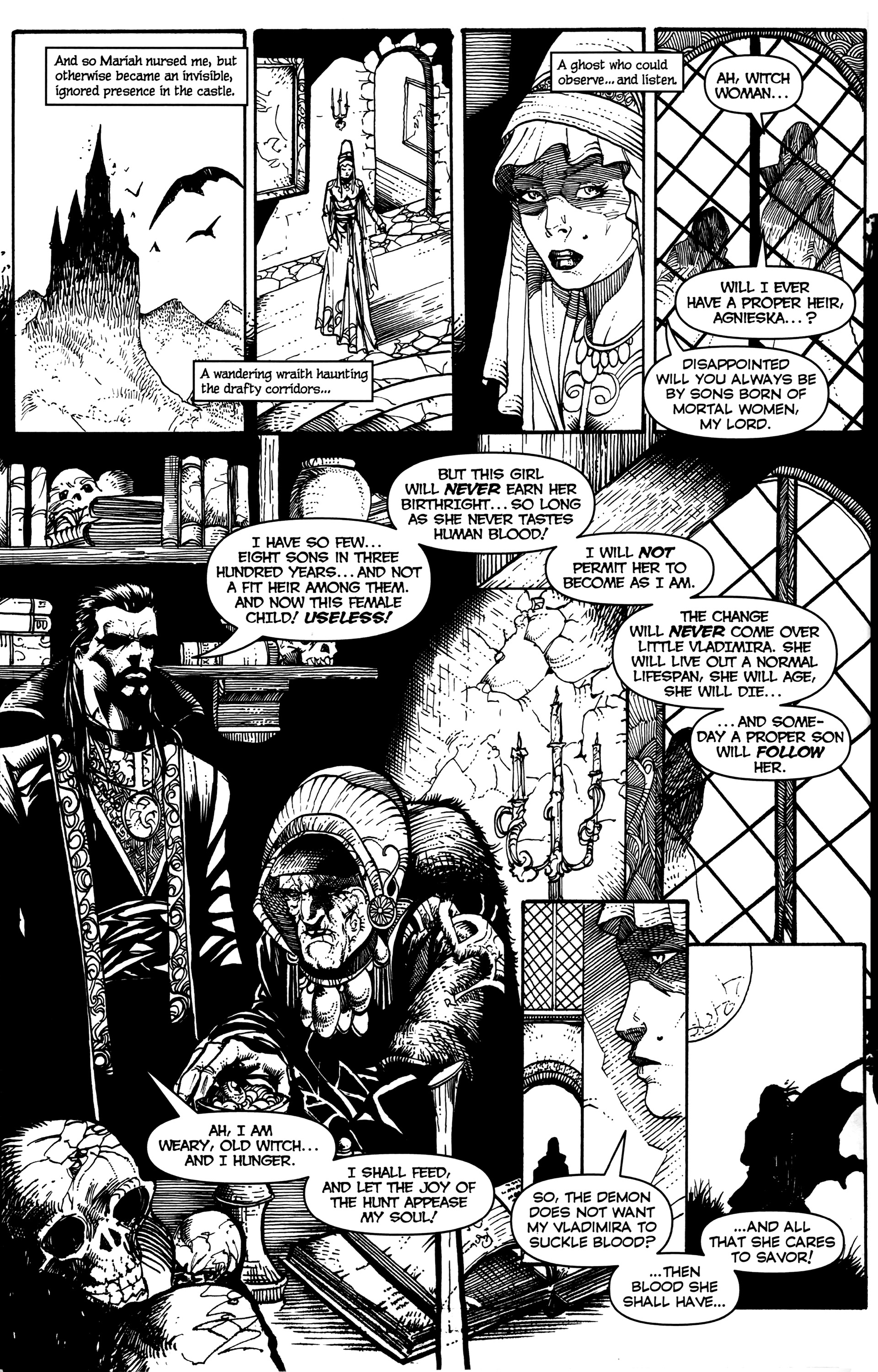 Read online Countess Vladimira:  Blood Relations comic -  Issue #1 - 19