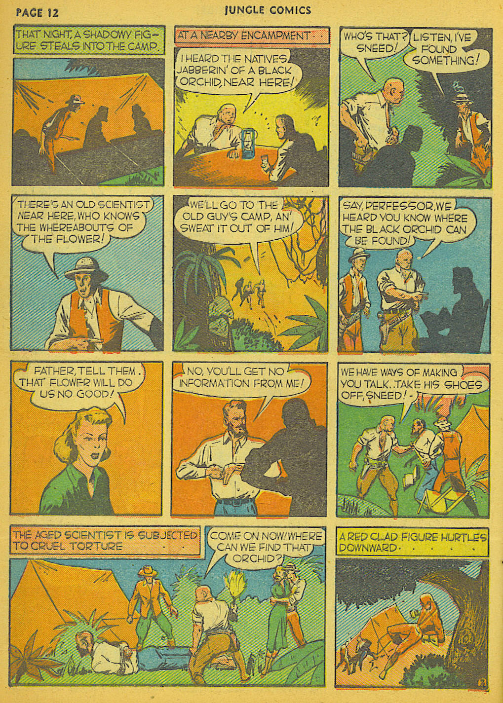 Read online Jungle Comics comic -  Issue #6 - 14