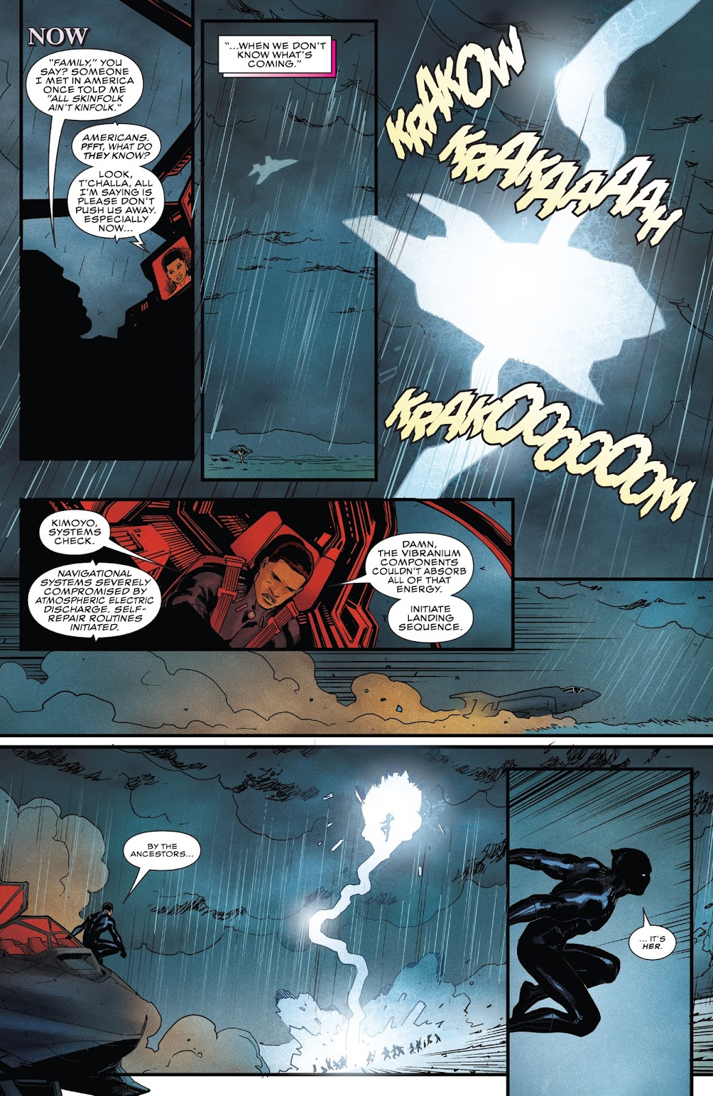 Rise of the Black Panther issue 5 - Page 14