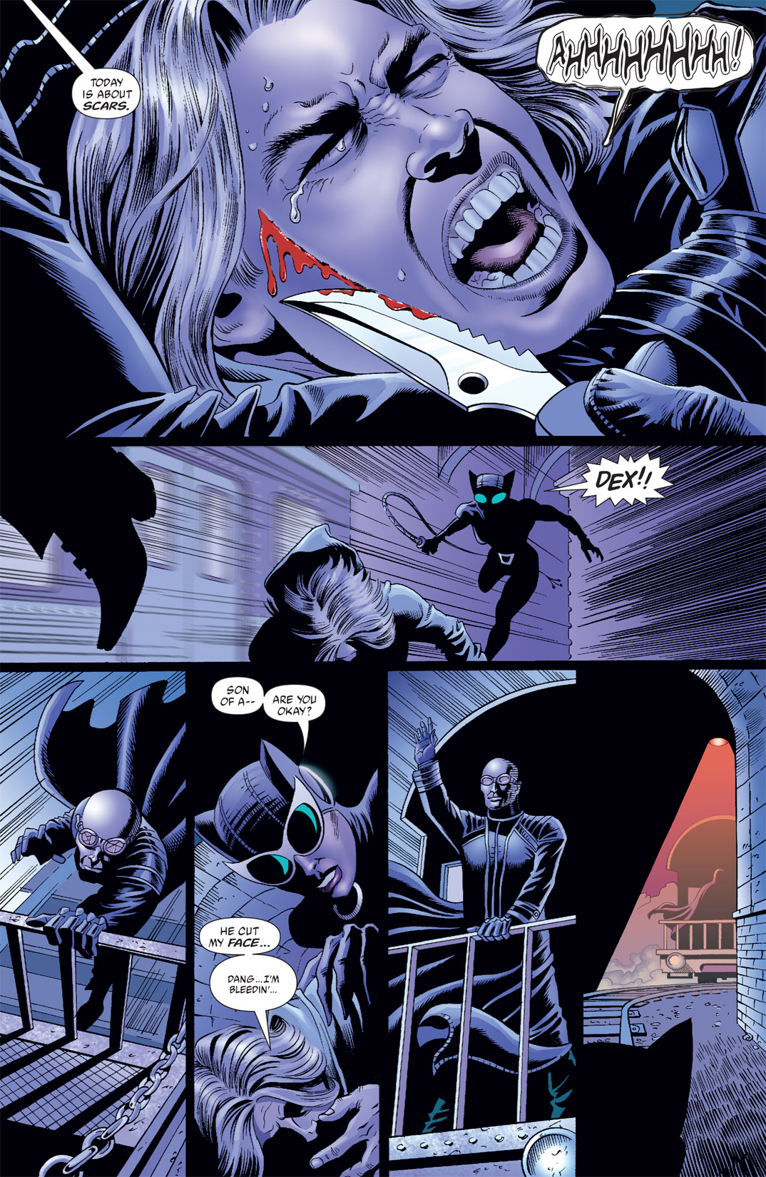 Read online Catwoman (2002) comic -  Issue #28 - 22