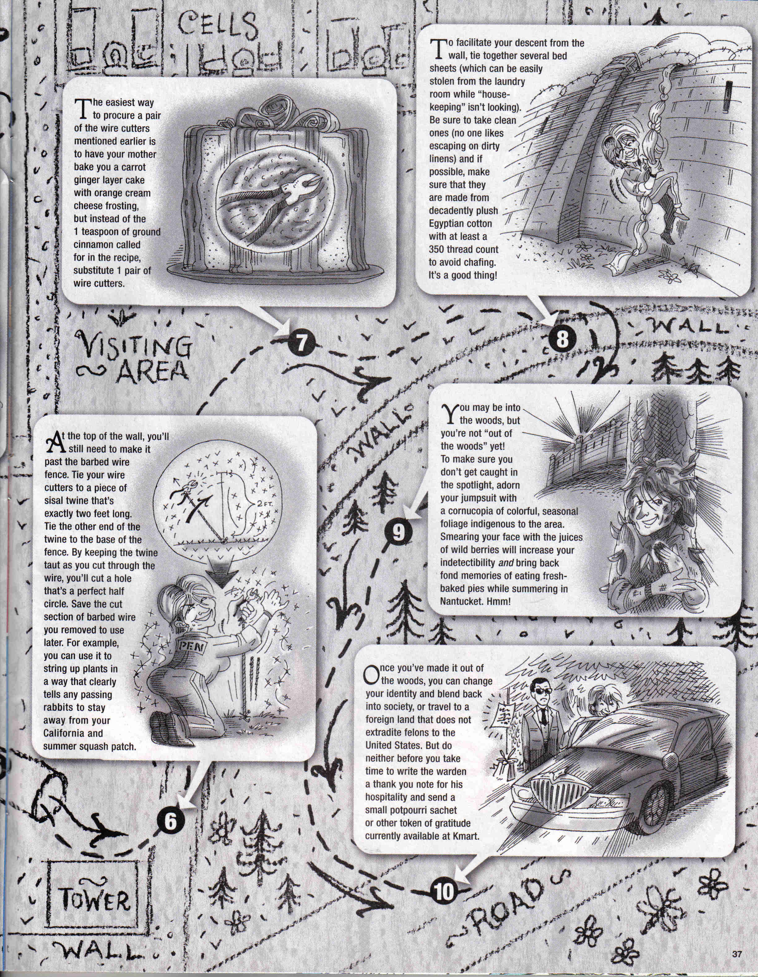 Read online MAD comic -  Issue #447 - 31