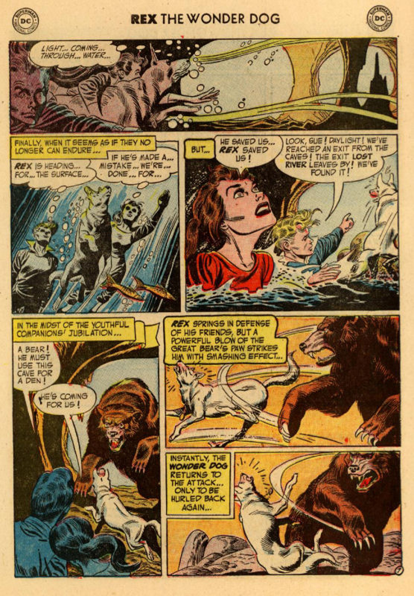Read online The Adventures of Rex the Wonder Dog comic -  Issue #10 - 9