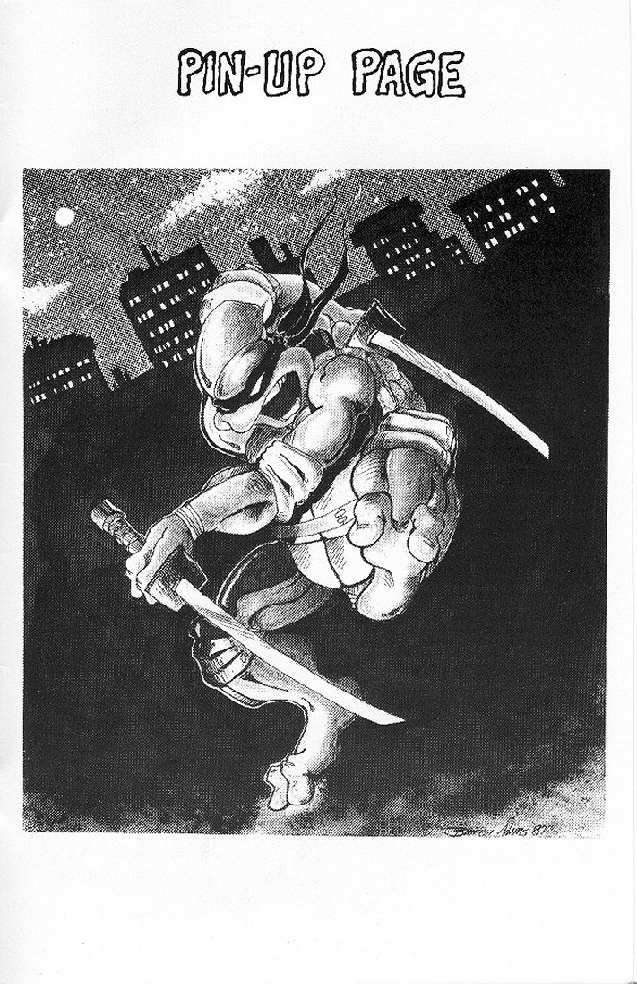 Tales of the Teenage Mutant Ninja Turtles issue 4 - Page 35