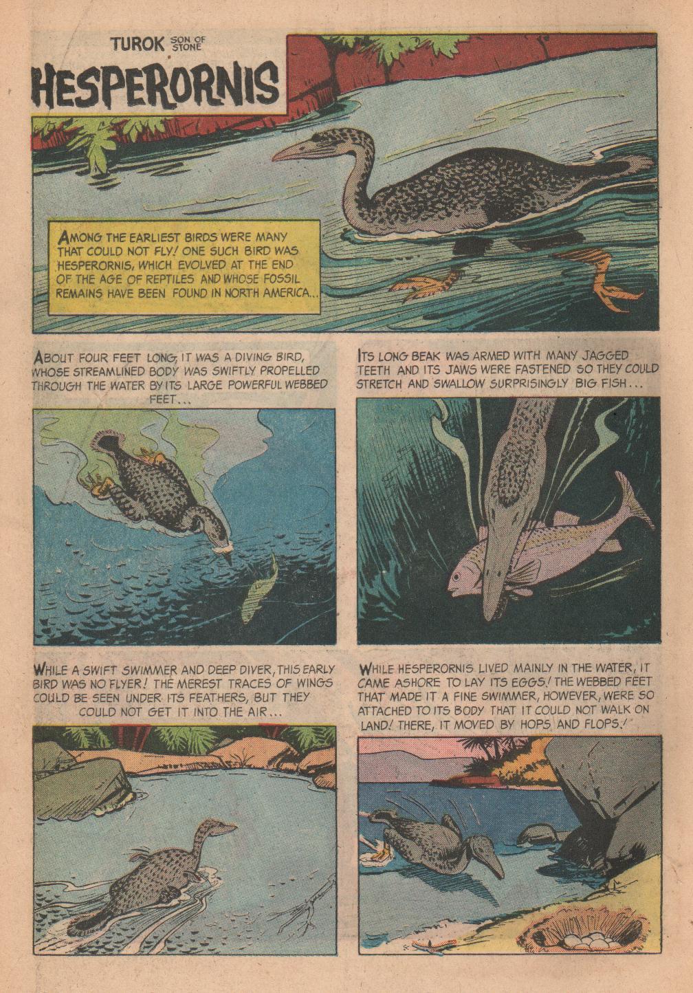 Read online Turok, Son of Stone comic -  Issue #55 - 17