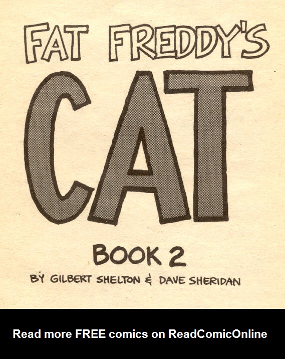 Read online Adventures of Fat Freddy's Cat comic -  Issue #2 - 3