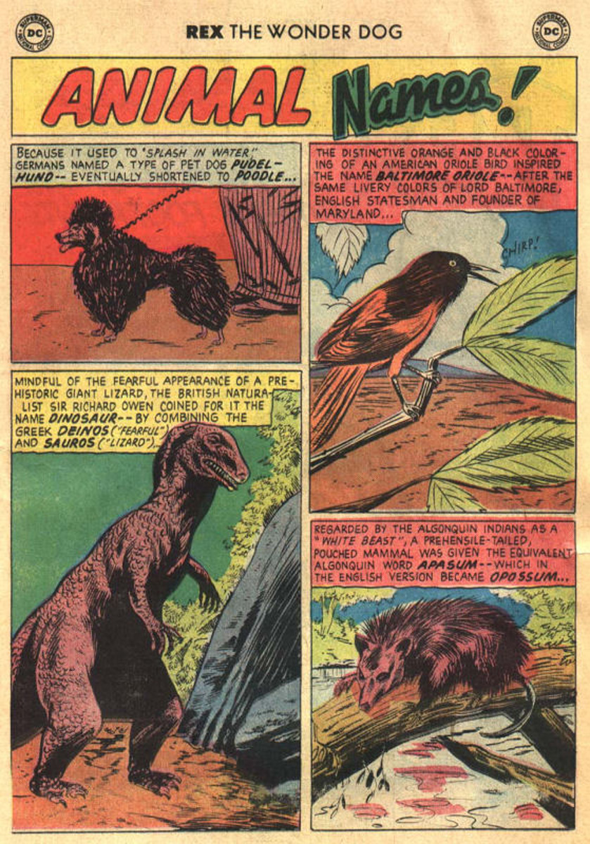 Read online The Adventures of Rex the Wonder Dog comic -  Issue #42 - 24