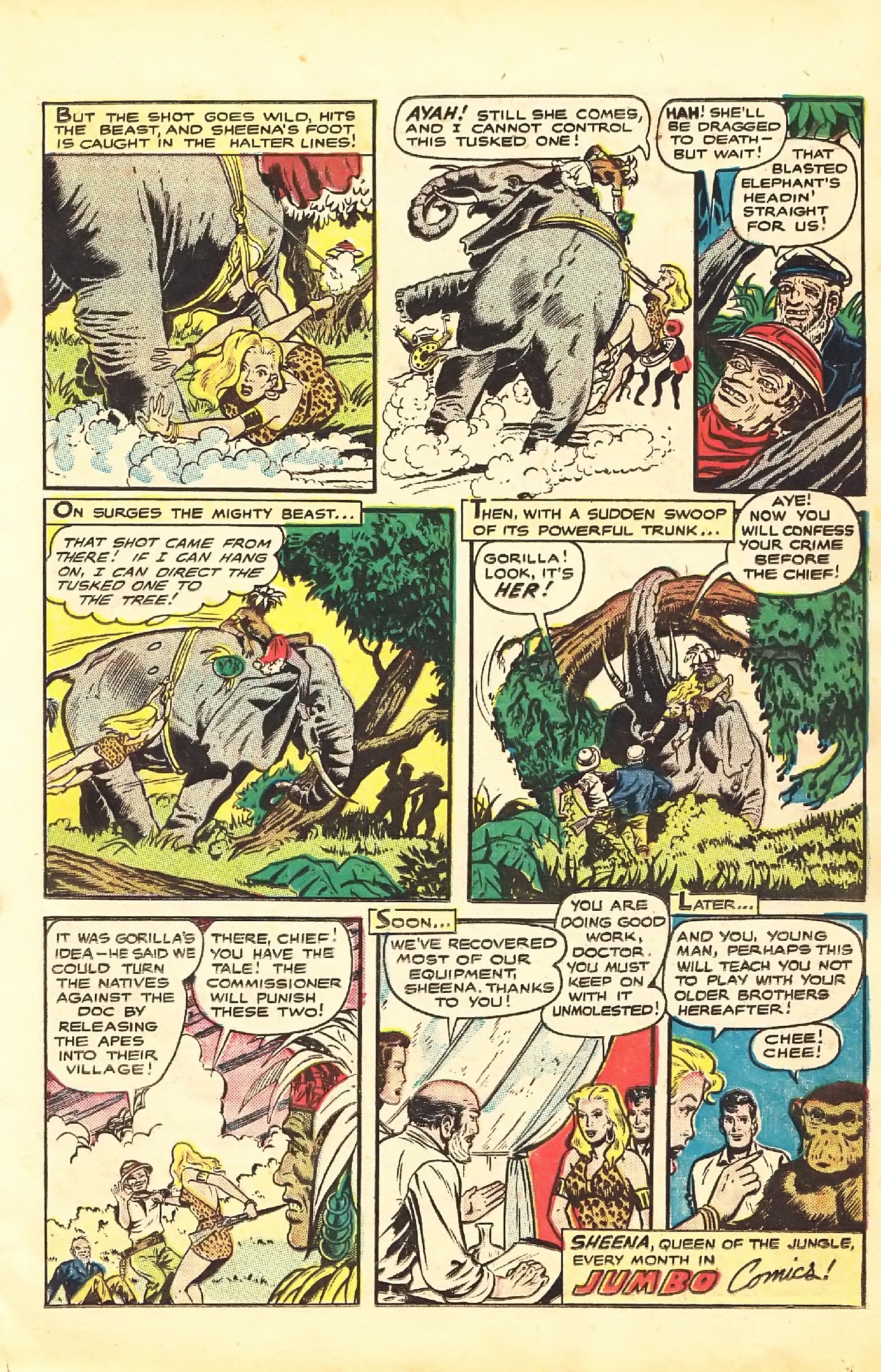 Read online Sheena, Queen of the Jungle (1942) comic -  Issue #7 - 17
