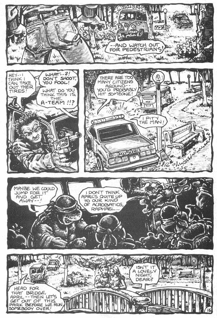 Teenage Mutant Ninja Turtles (1984) Issue #3 #3 - English 19