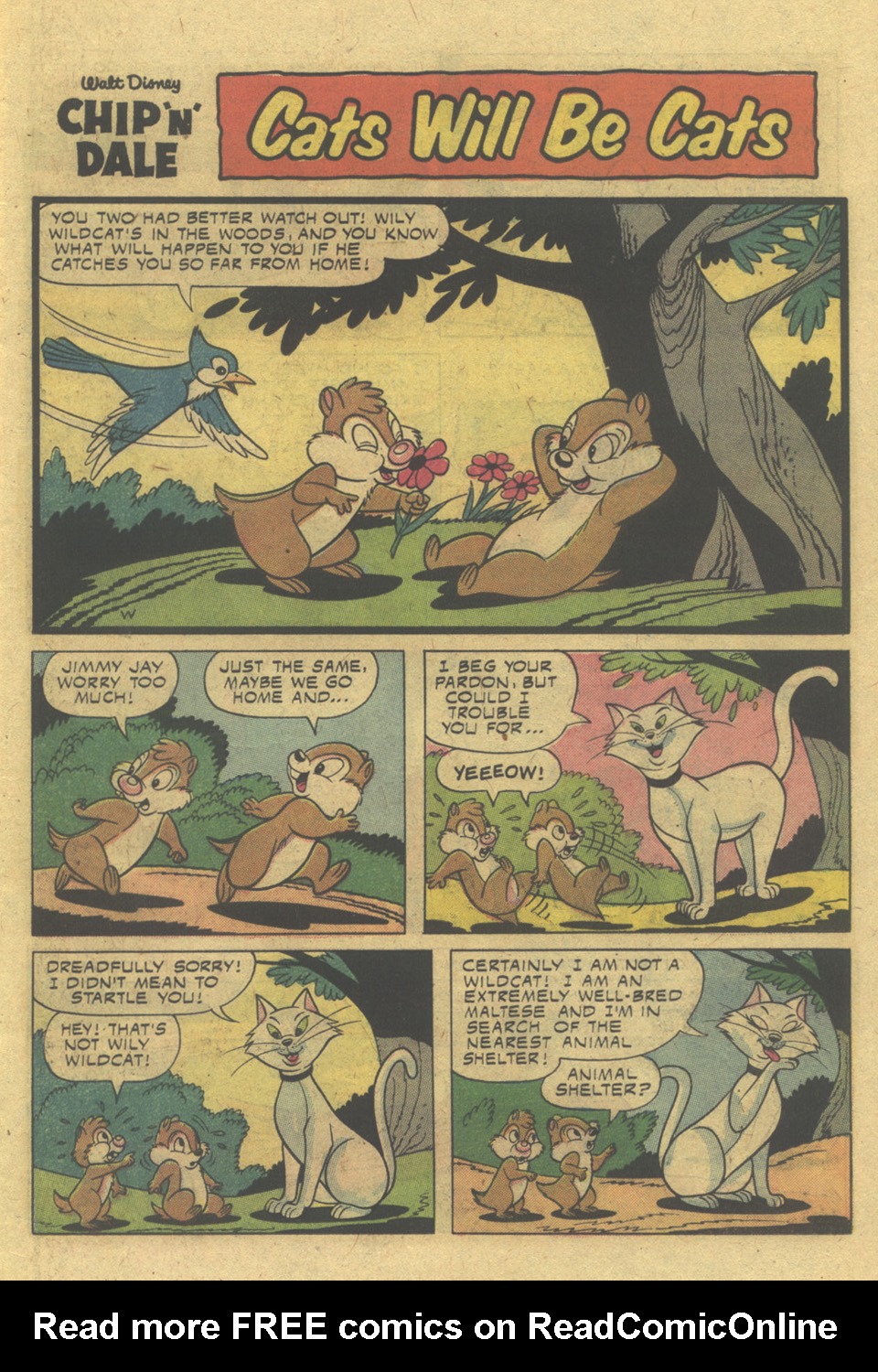 Read online Walt Disney Chip 'n' Dale comic -  Issue #34 - 11