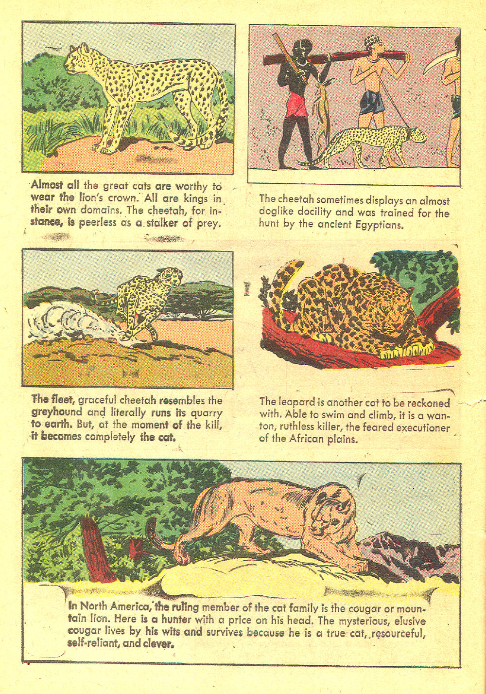 Read online Four Color Comics comic -  Issue #1136 - 6