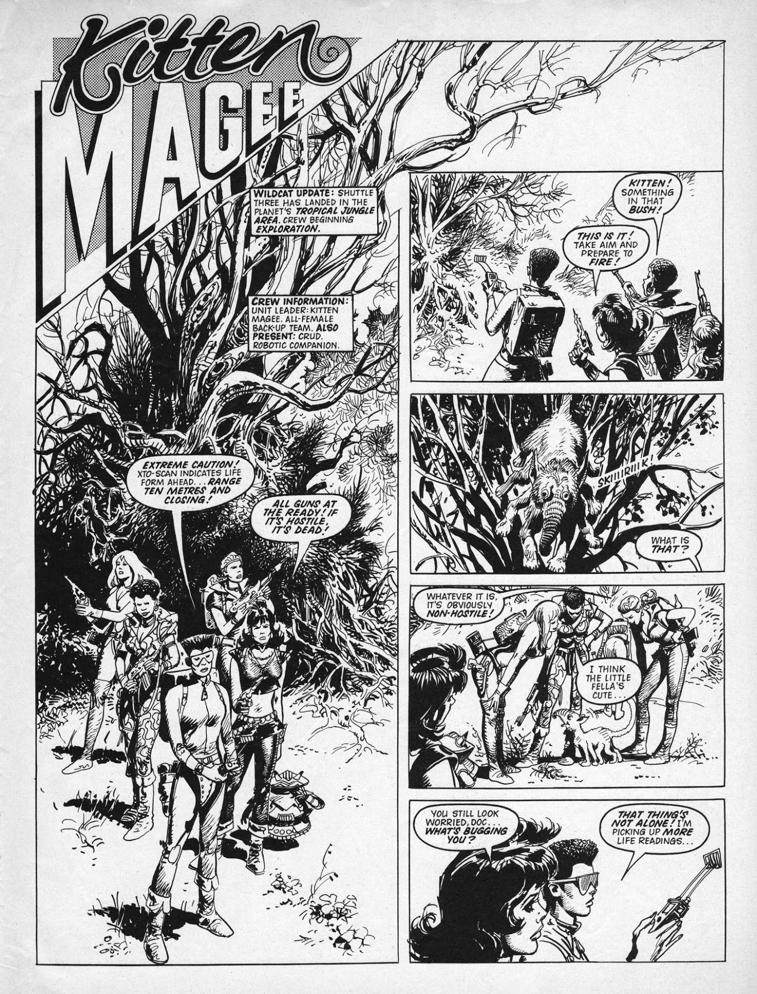 Read online Wildcat comic -  Issue #2 - 11