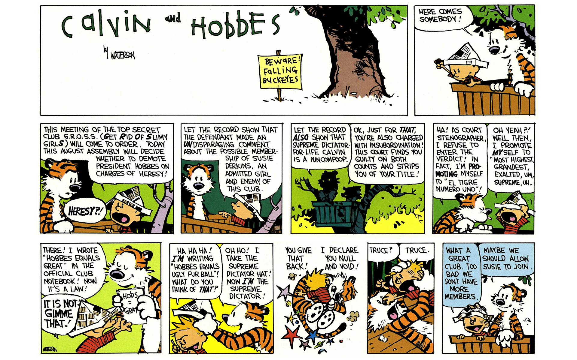 Read online Calvin and Hobbes comic -  Issue #6 - 109