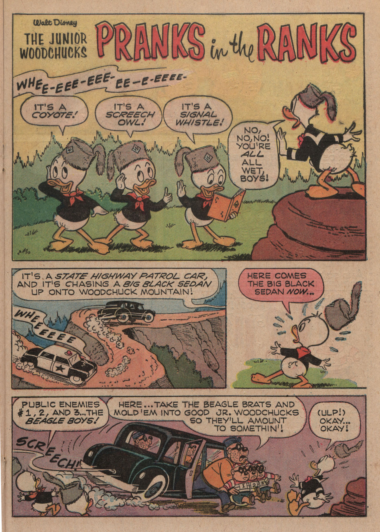 Read online Huey, Dewey, and Louie Junior Woodchucks comic -  Issue #3 - 21