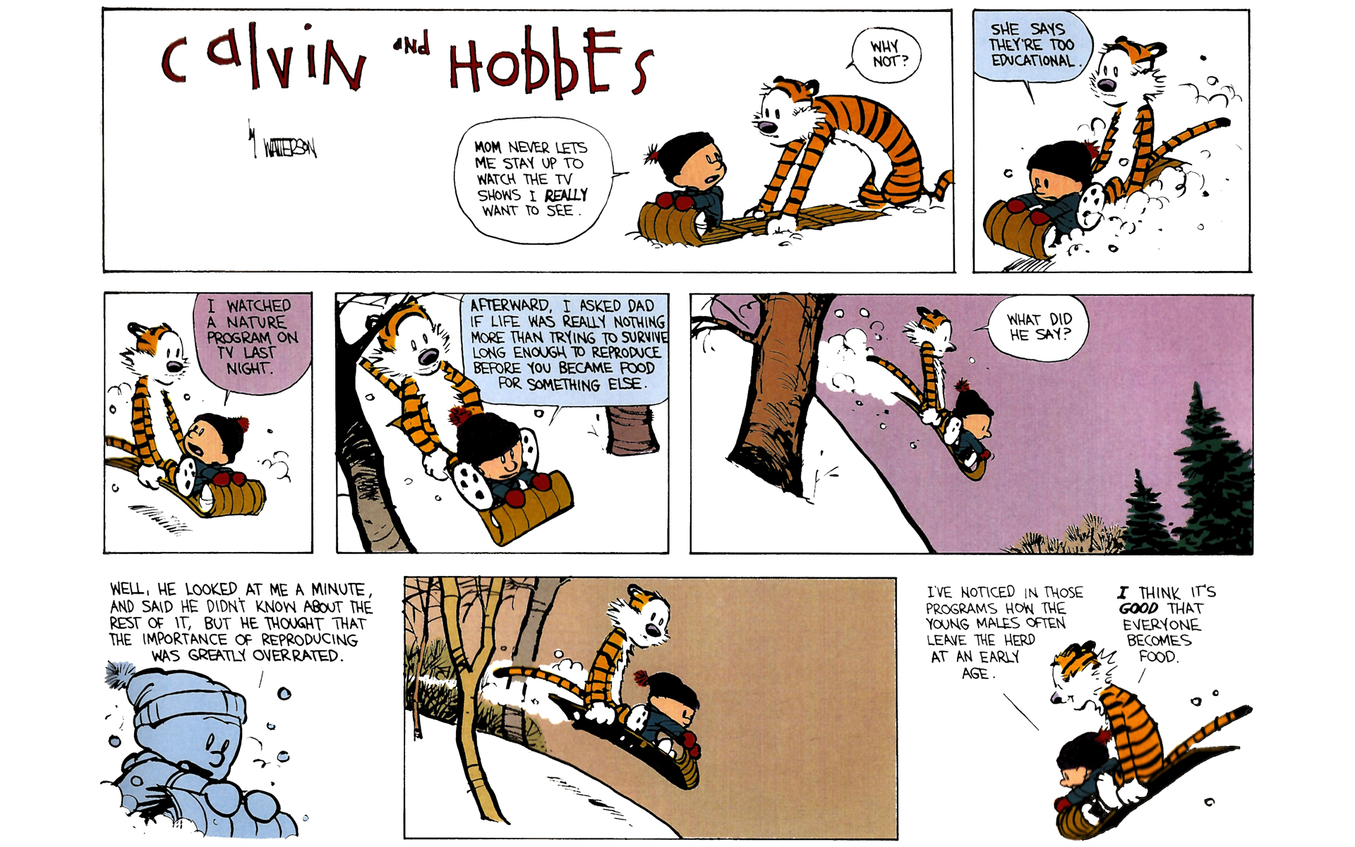Read online Calvin and Hobbes comic -  Issue #7 - 139