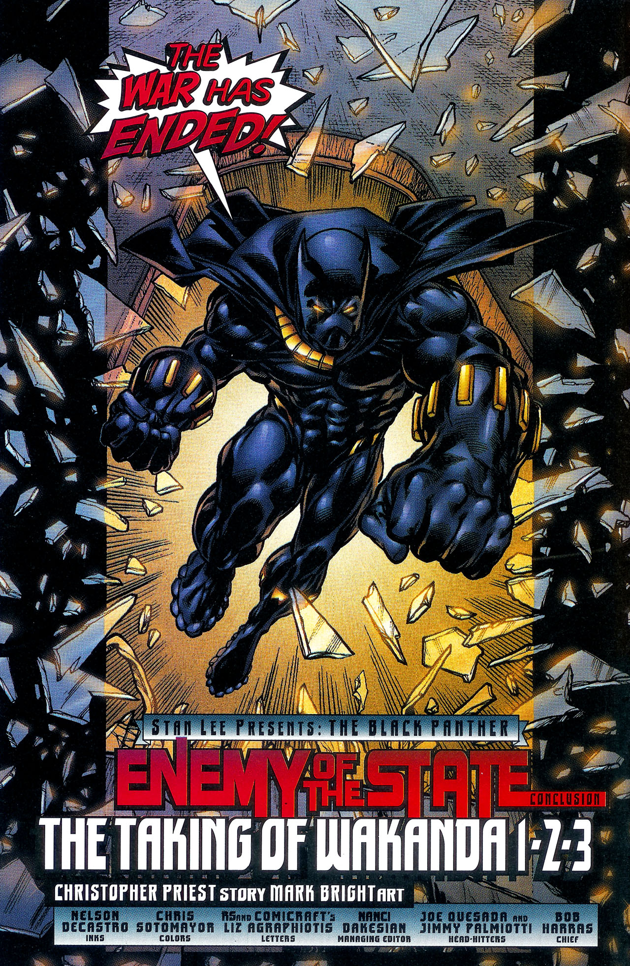 Read online Black Panther (1998) comic -  Issue #12 - 5