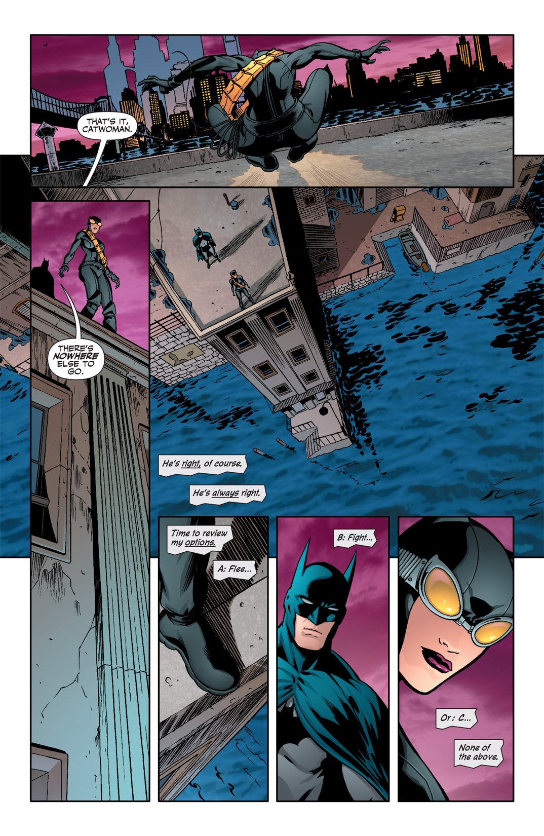 Read online Catwoman (2002) comic -  Issue #82 - 11