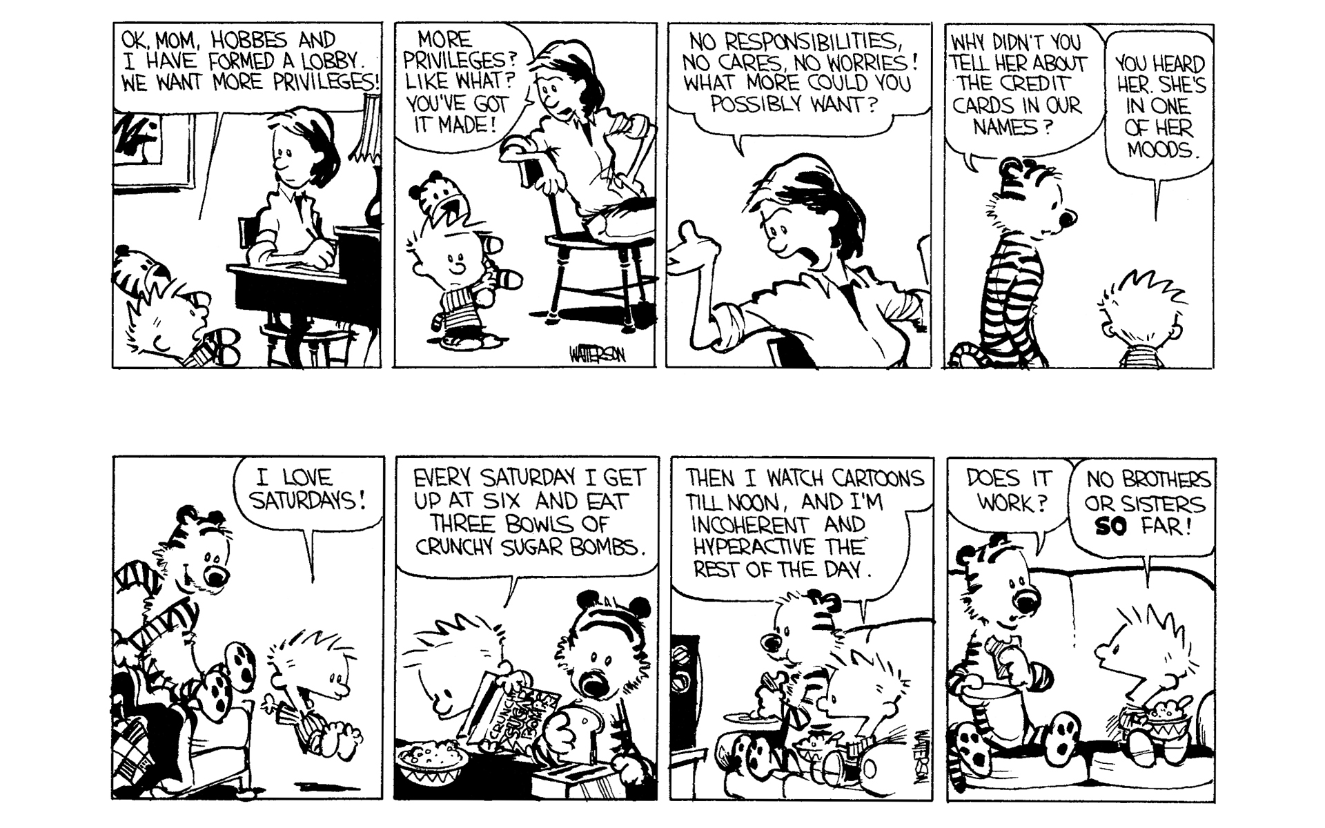Read online Calvin and Hobbes comic -  Issue #1 - 120