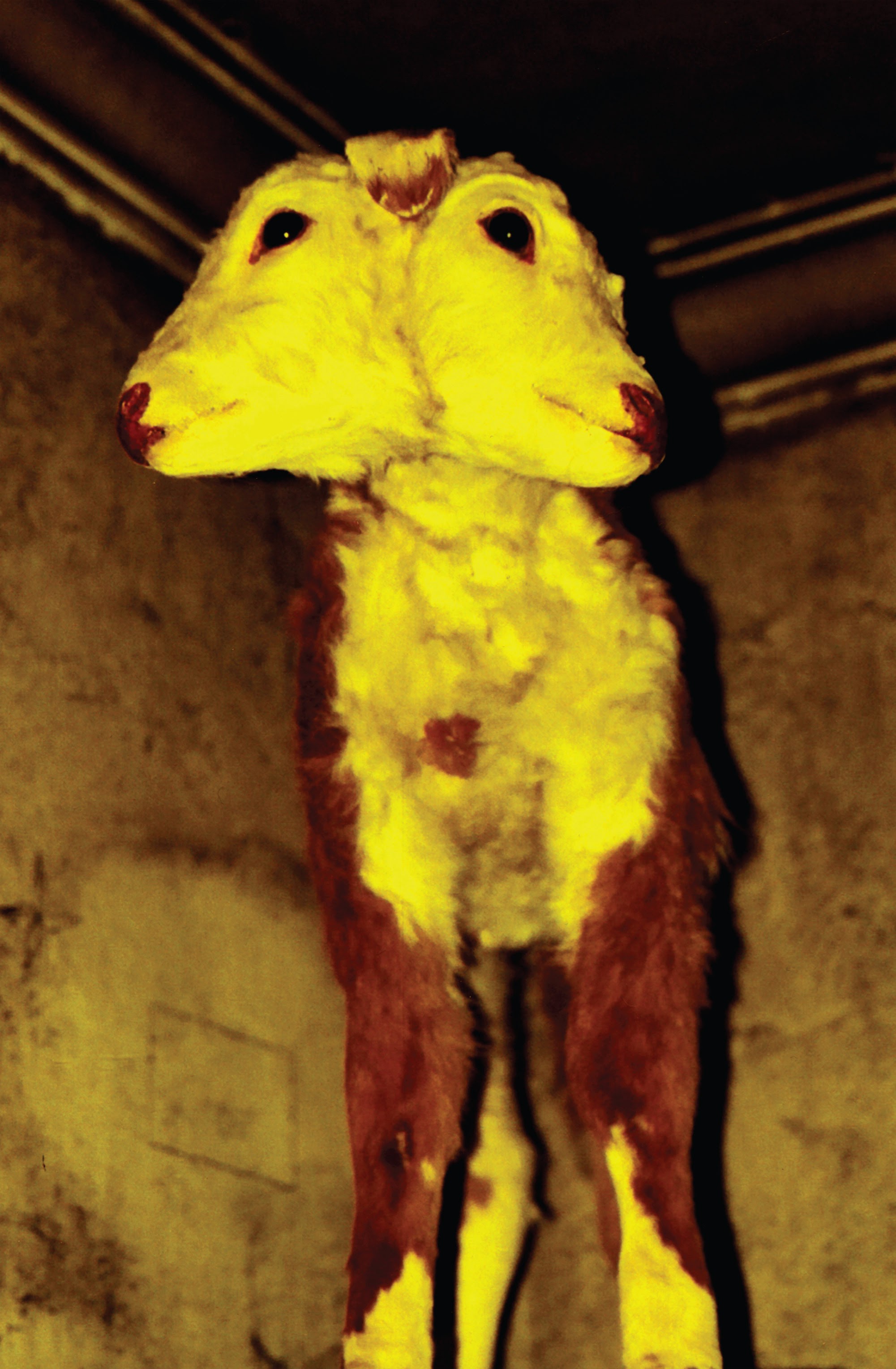 Read online The Killing Jar comic -  Issue # TPB (Part 3) - 22