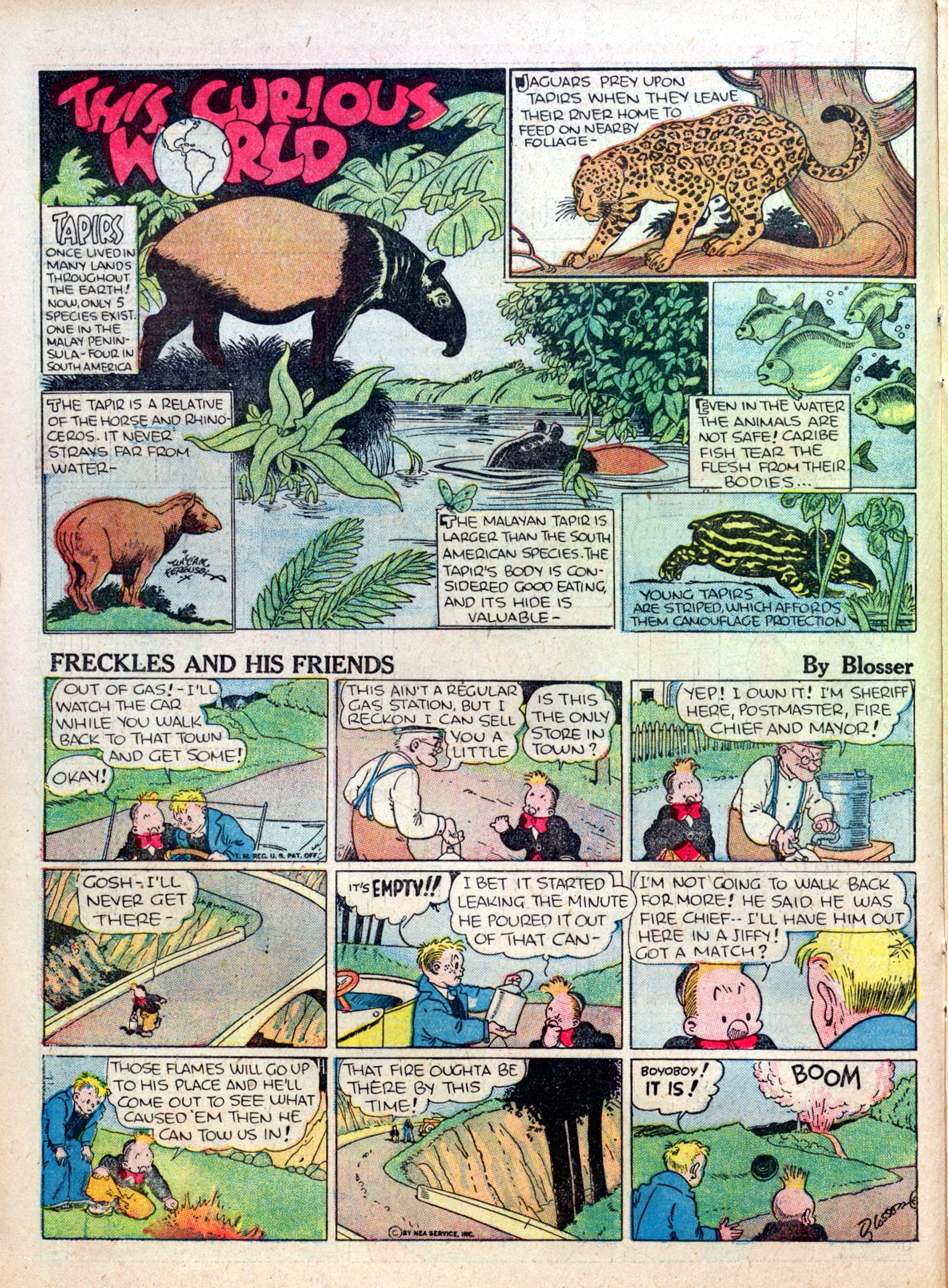 Read online Famous Funnies comic -  Issue #23 - 32
