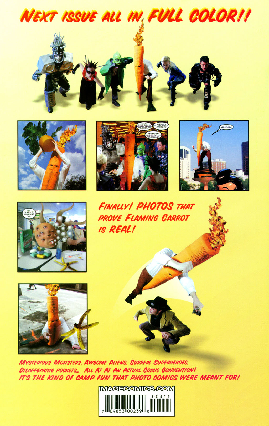 Read online Flaming Carrot Comics (2004) comic -  Issue #3 - 32