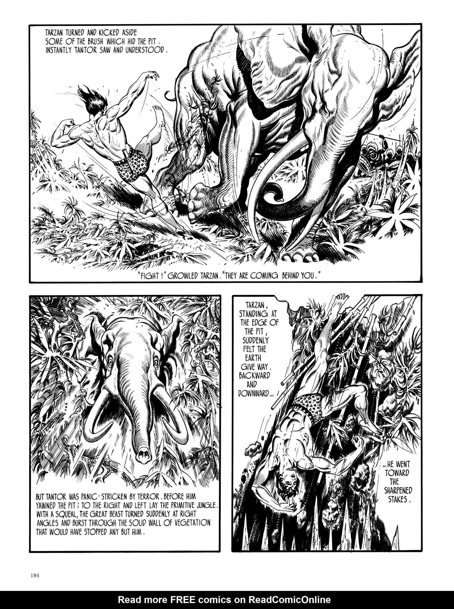 Read online Edgar Rice Burroughs' Tarzan: Burne Hogarth's Lord of the Jungle comic -  Issue # TPB - 183
