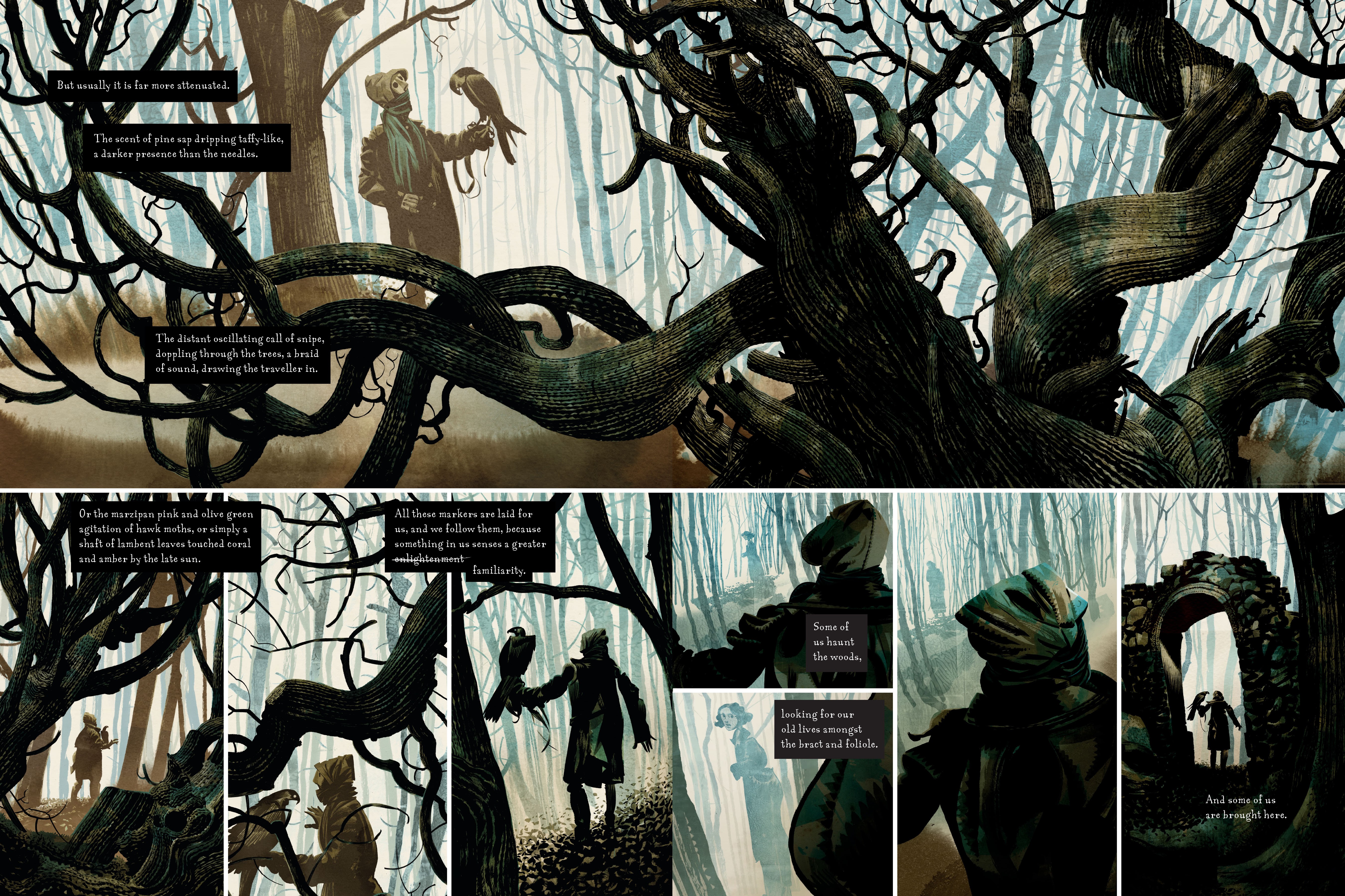 Read online Raptor: A Sokol Graphic Novel comic -  Issue # TPB - 38
