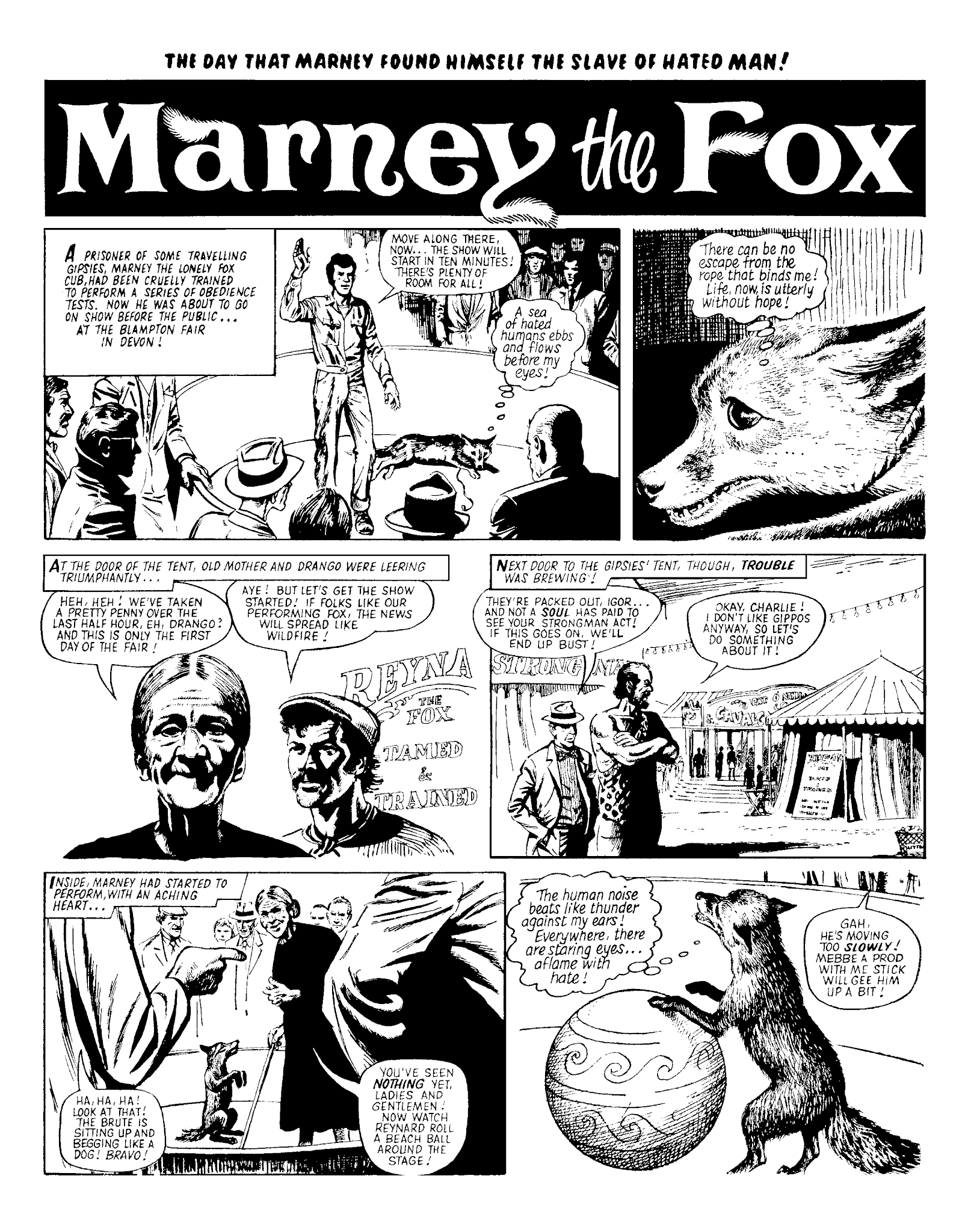 Read online Marney the Fox comic -  Issue # TPB (Part 2) - 2