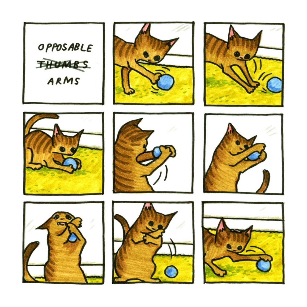 Read online Cats are Weird and More Observations comic -  Issue # TPB - 96