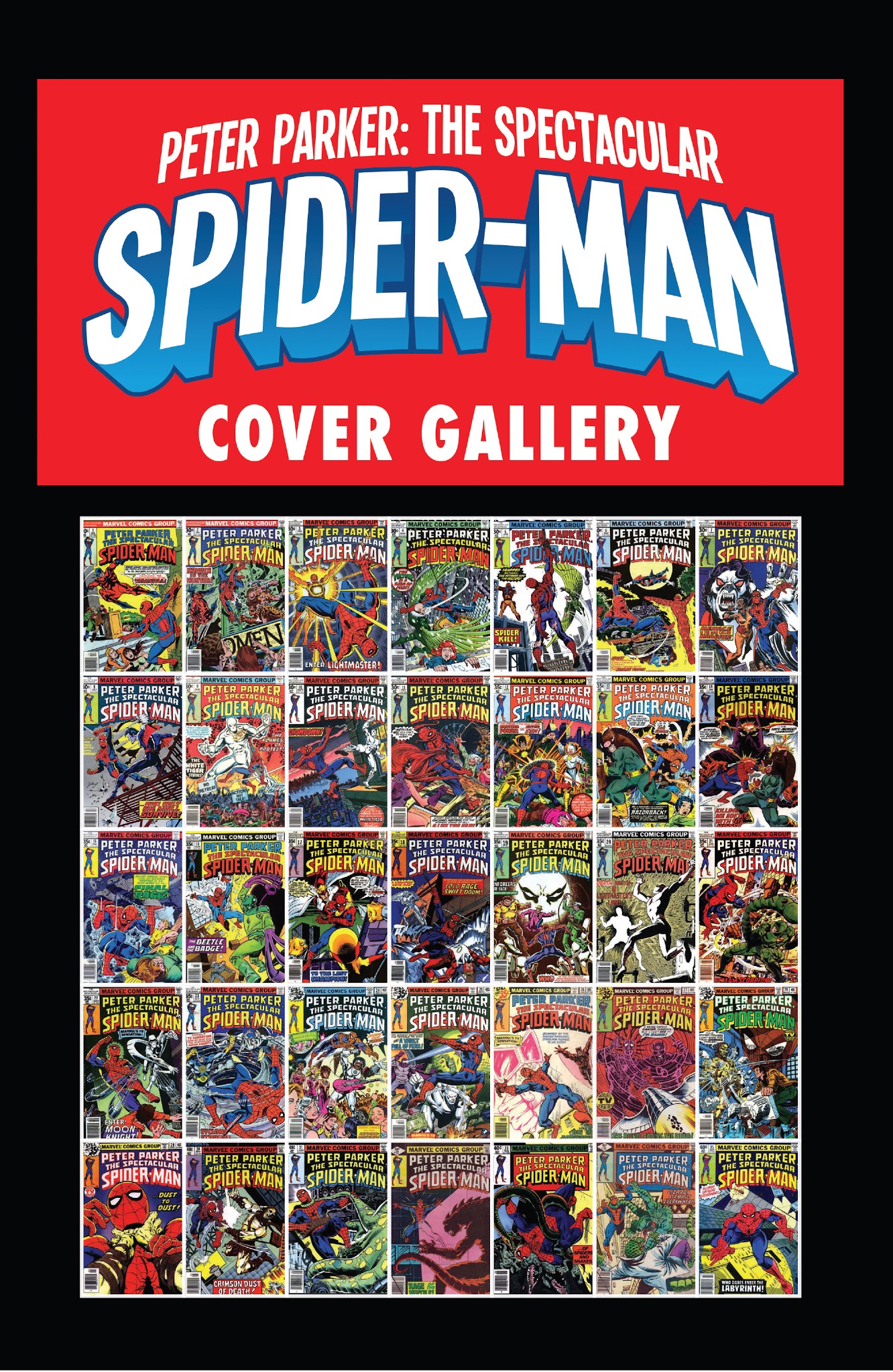 Read online Peter Parker: The Spectacular Spider-Man comic -  Issue #300 - 36