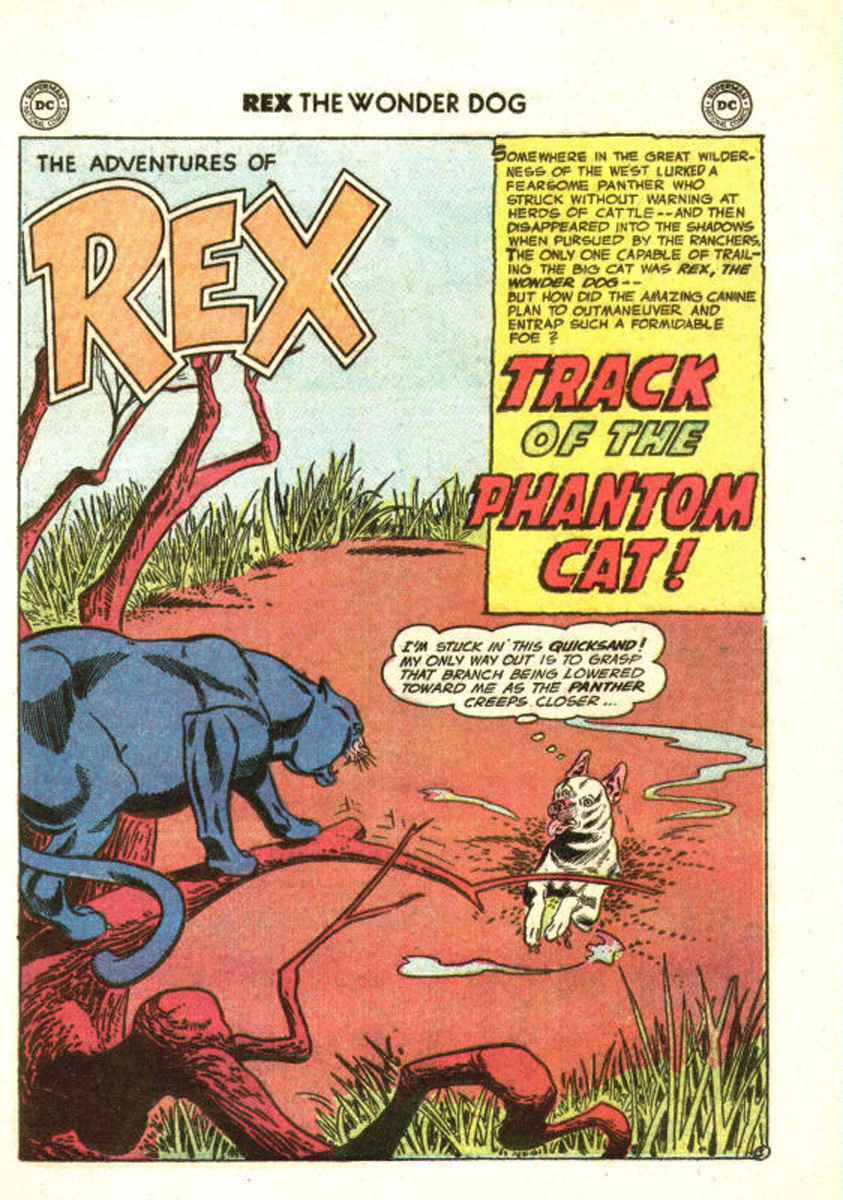 Read online The Adventures of Rex the Wonder Dog comic -  Issue #27 - 25