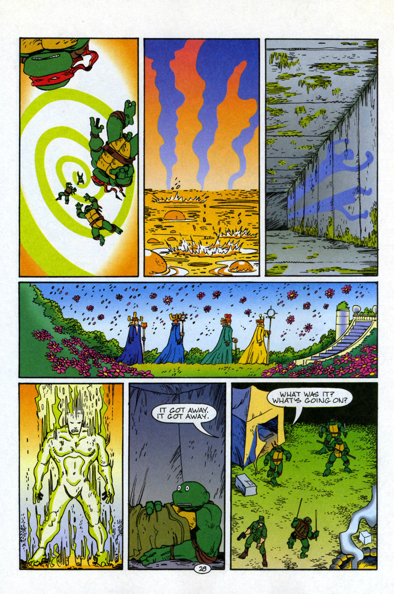 Teenage Mutant Ninja Turtles/Flaming Carrot Crossover Issue #1 #1 - English 29