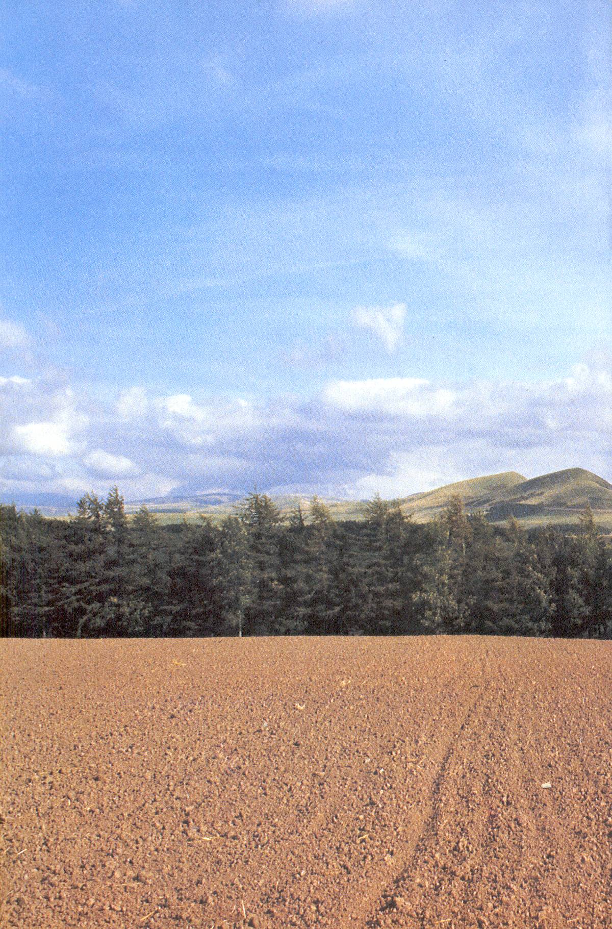 Read online Cerebus comic -  Issue #238 - 28