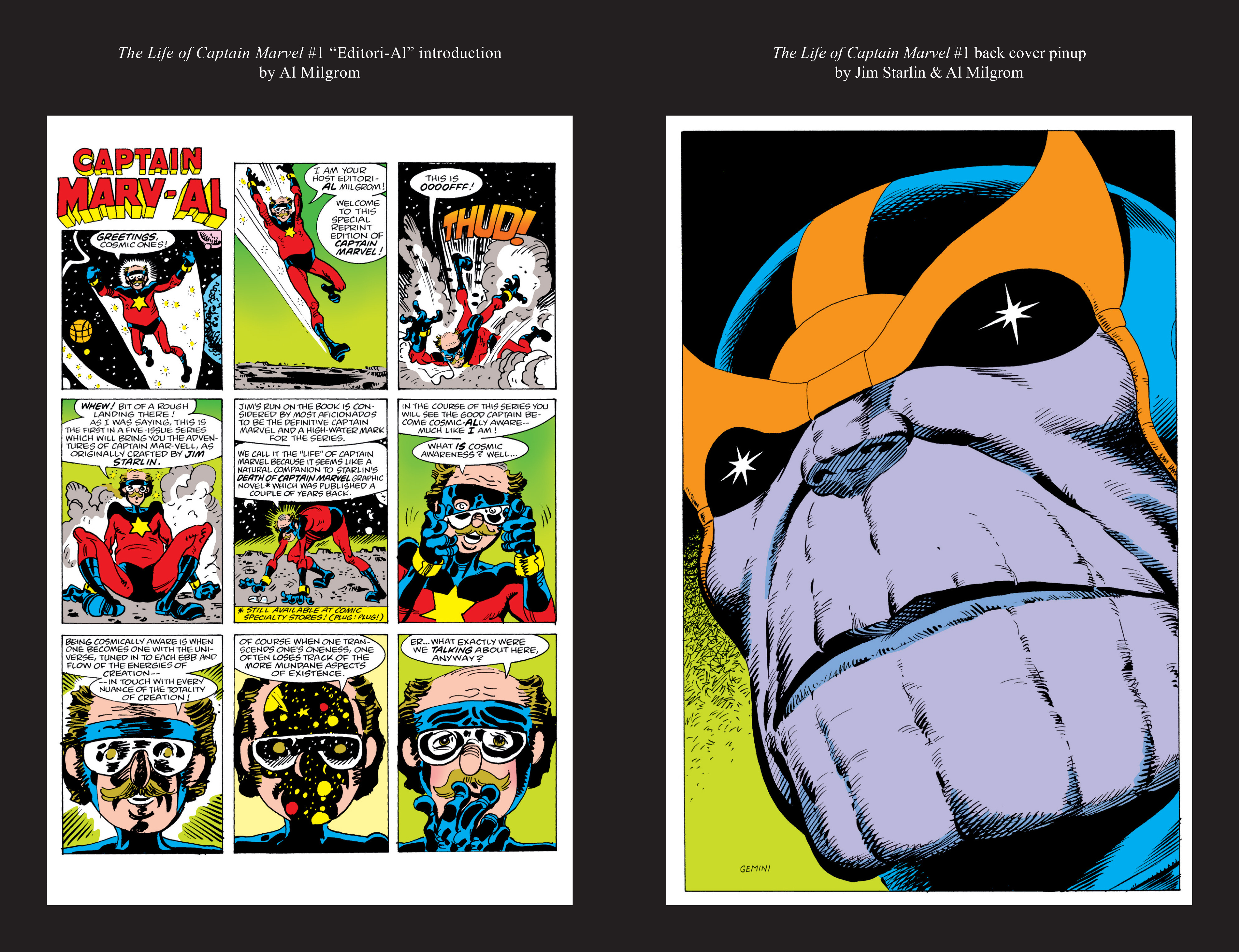 Read online Captain Marvel by Jim Starlin comic -  Issue # TPB (Part 2) - 142