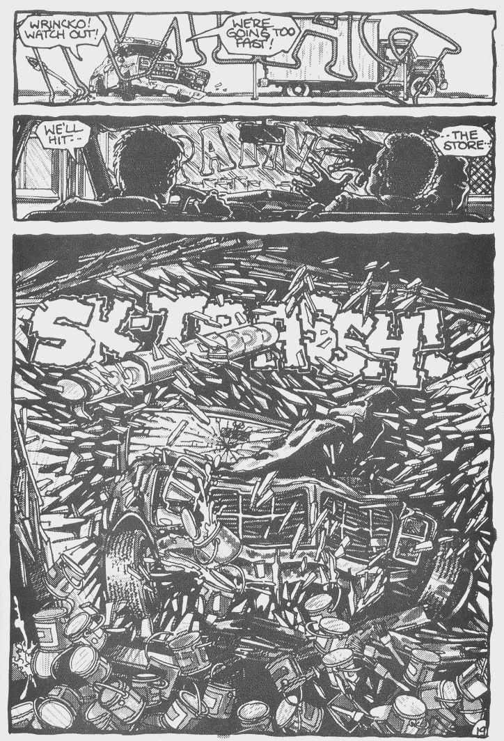 Teenage Mutant Ninja Turtles (1984) Issue #3 #3 - English 22