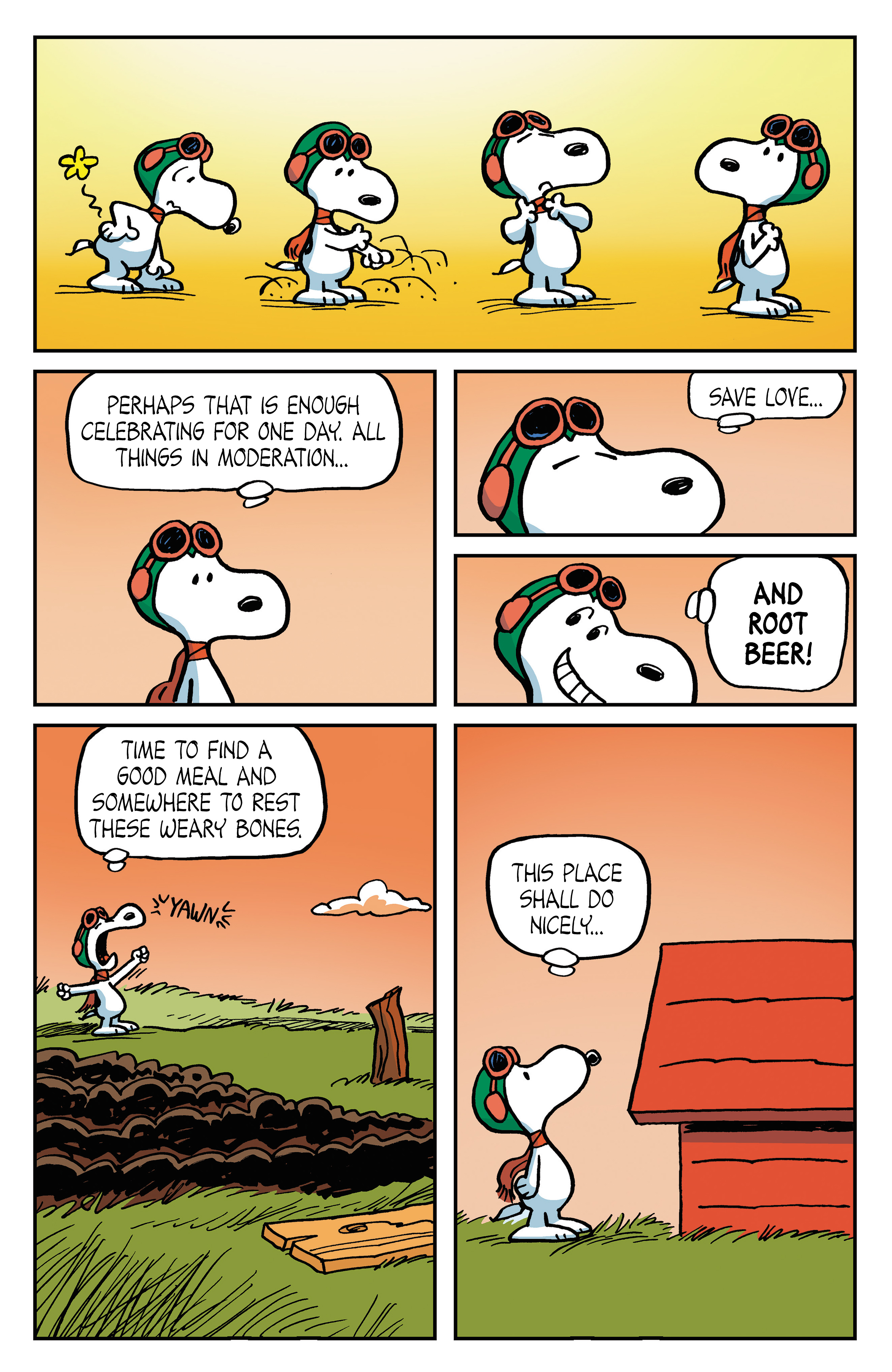 Read online Peanuts: Where Beagles Dare! comic -  Issue # Full - 13