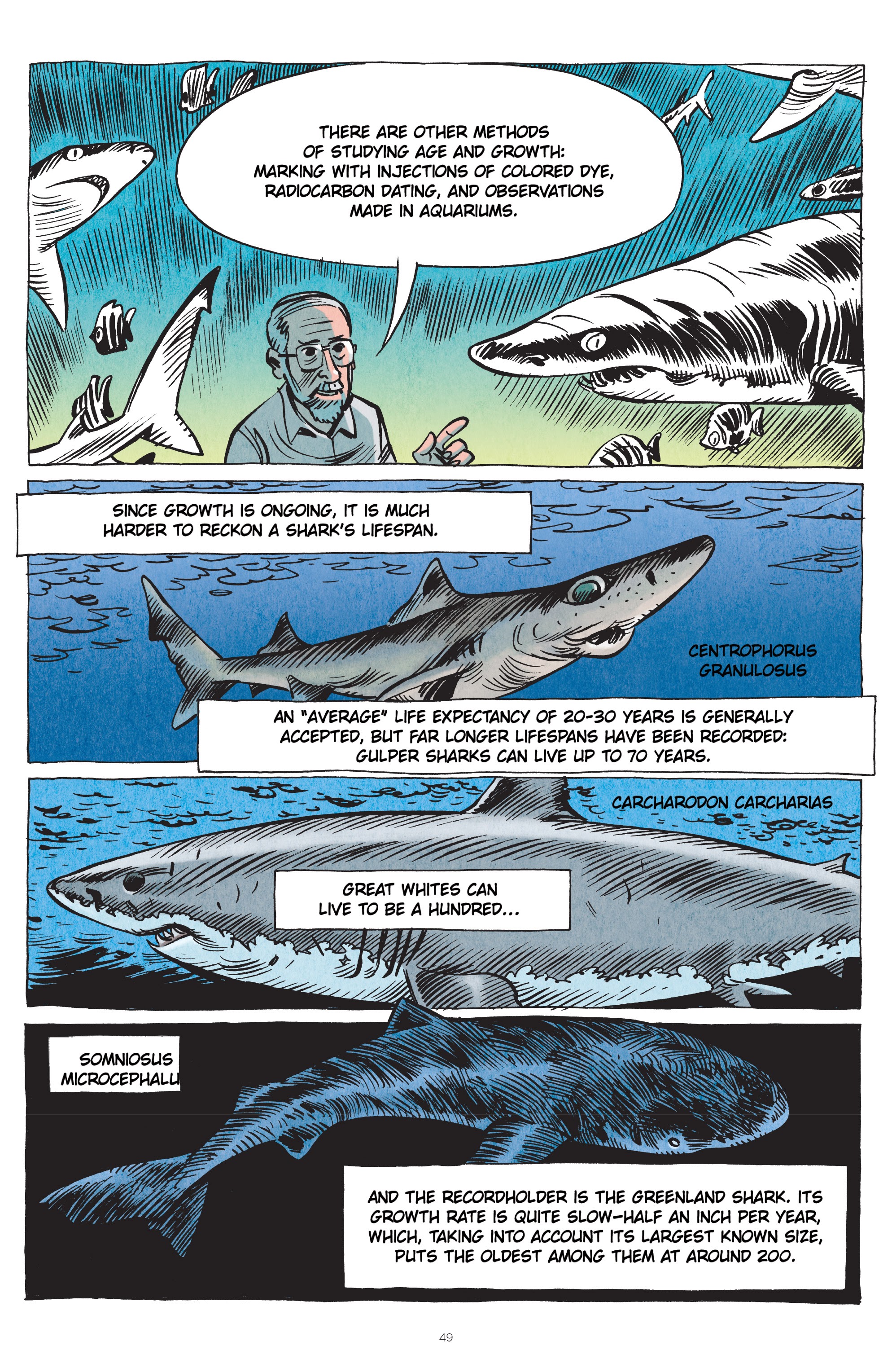 Read online Little Book of Knowledge: Sharks comic -  Issue # TPB - 49