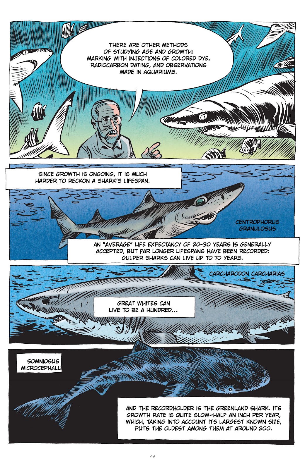 Little Book of Knowledge: Sharks issue TPB - Page 49