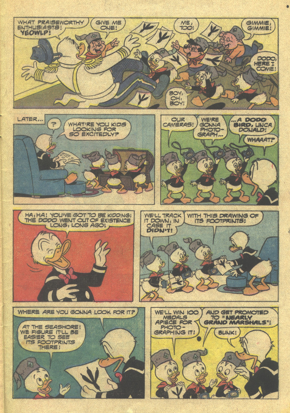 Read online Huey, Dewey, and Louie Junior Woodchucks comic -  Issue #16 - 25