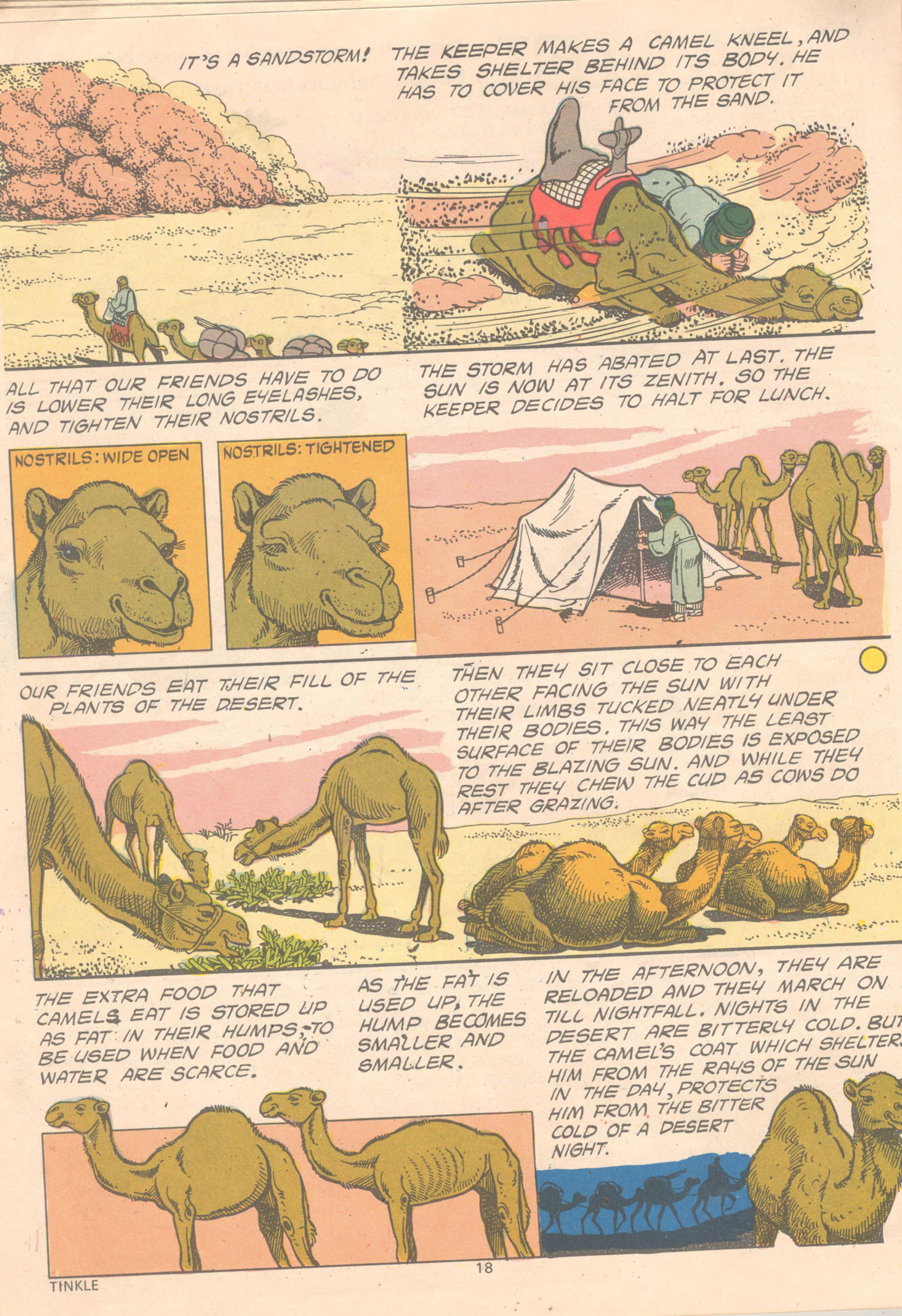 Read online Tinkle comic -  Issue #12 - 20